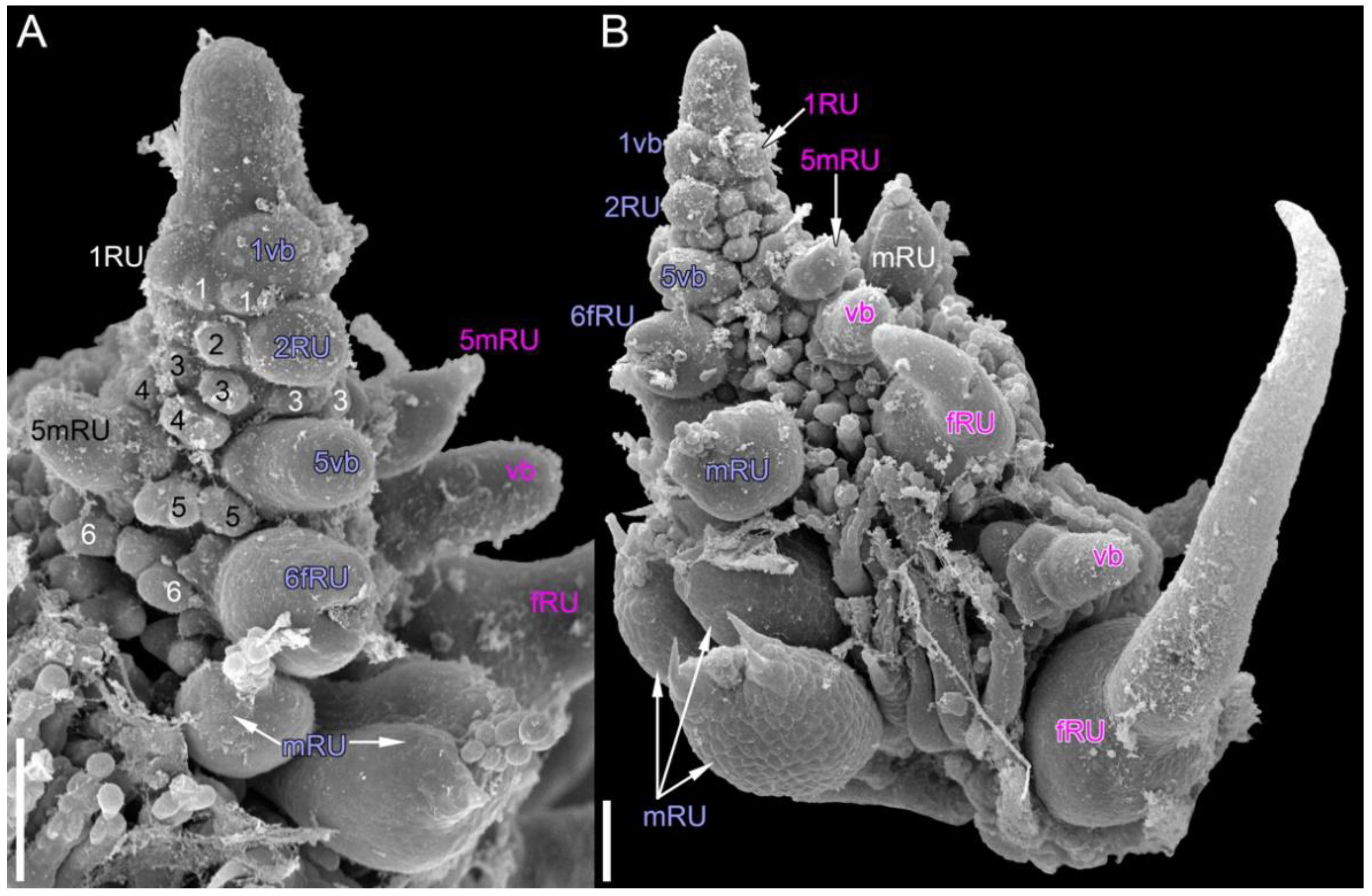 Symmetry 14 01288 g012