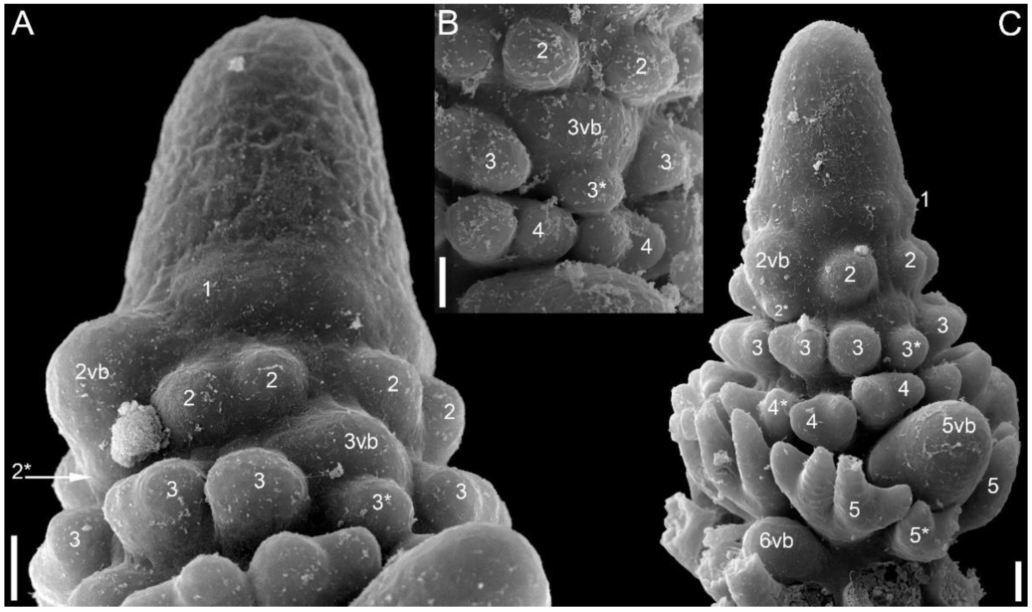 Symmetry 14 01288 g016