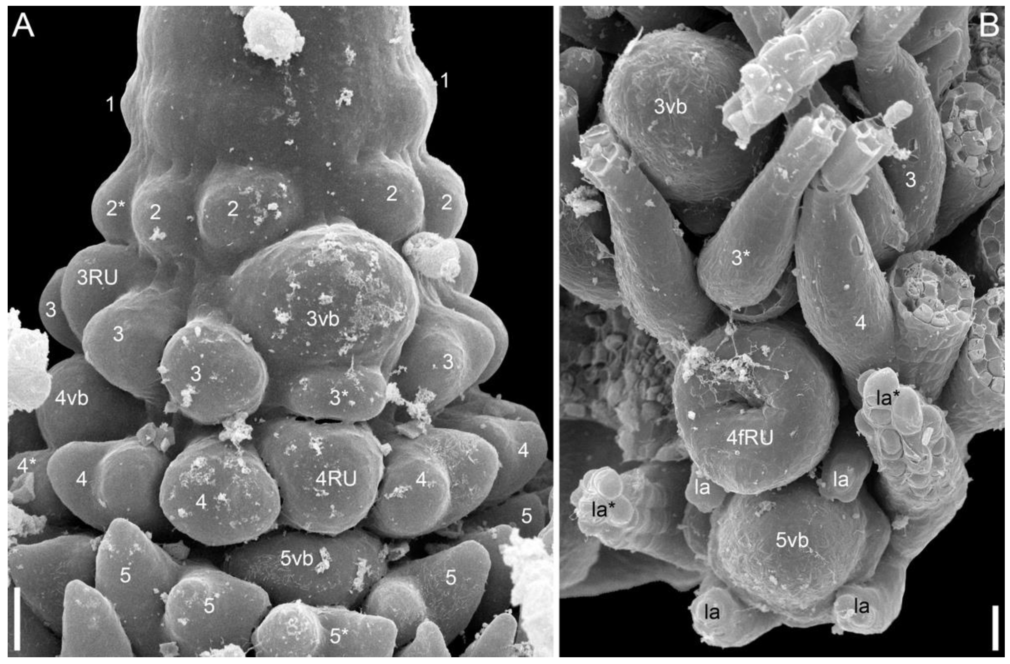 Symmetry 14 01288 g017