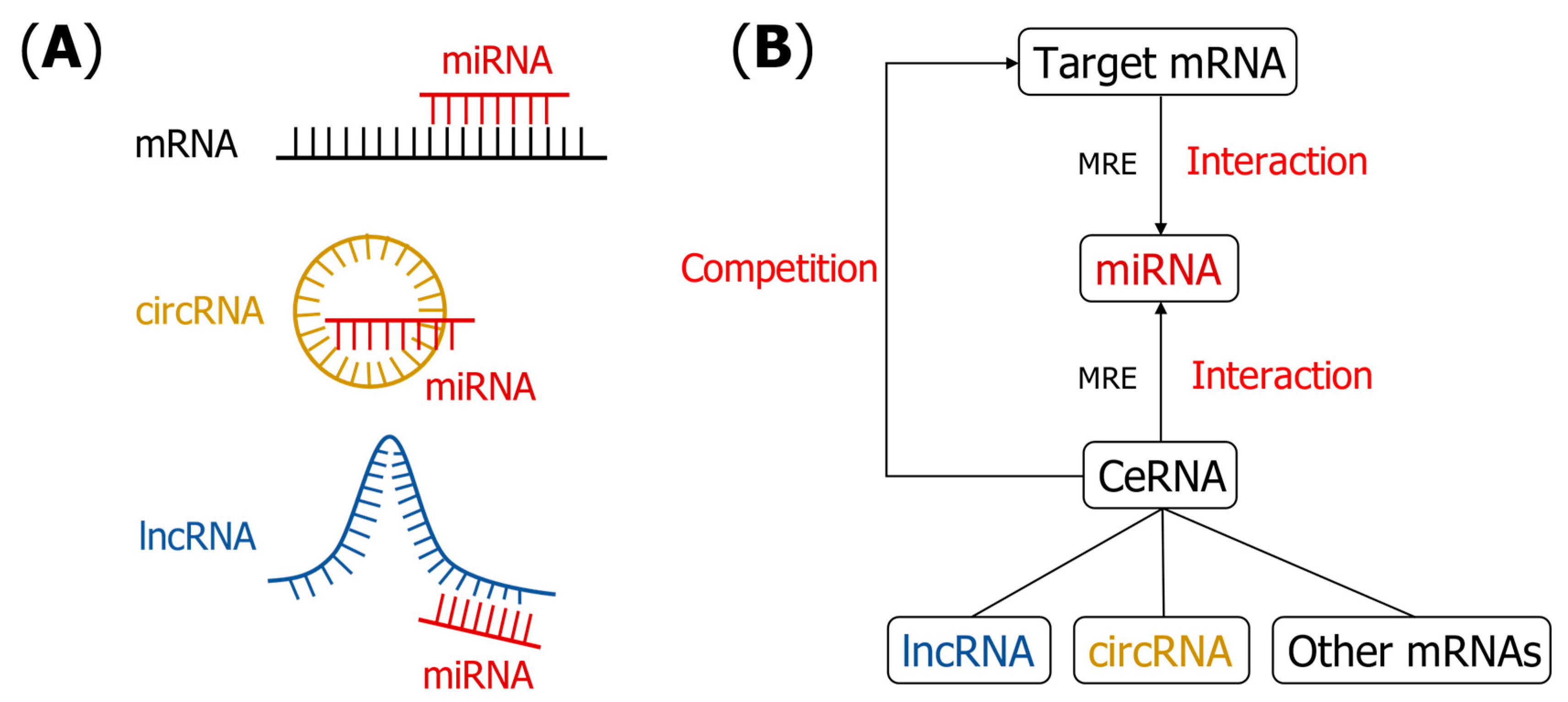 Symmetry 14 01302 g001 Symmetry 14 01302 g001