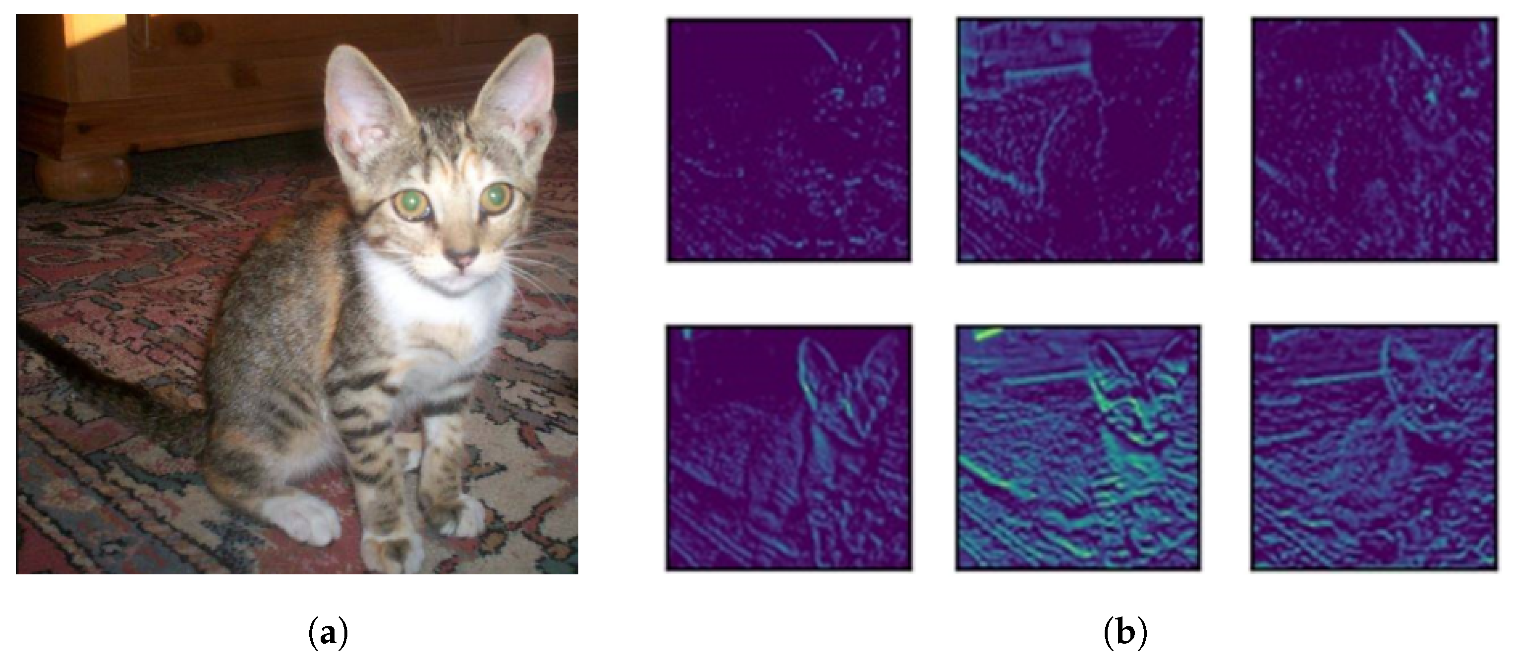 Symmetry 14 01372 g002 550