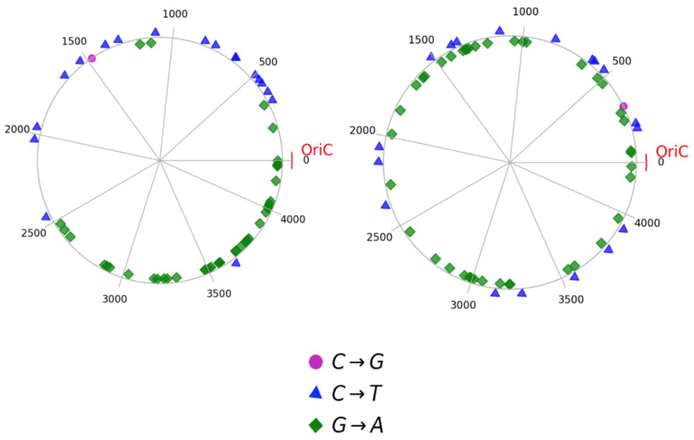 Symmetry 14 01431 g002