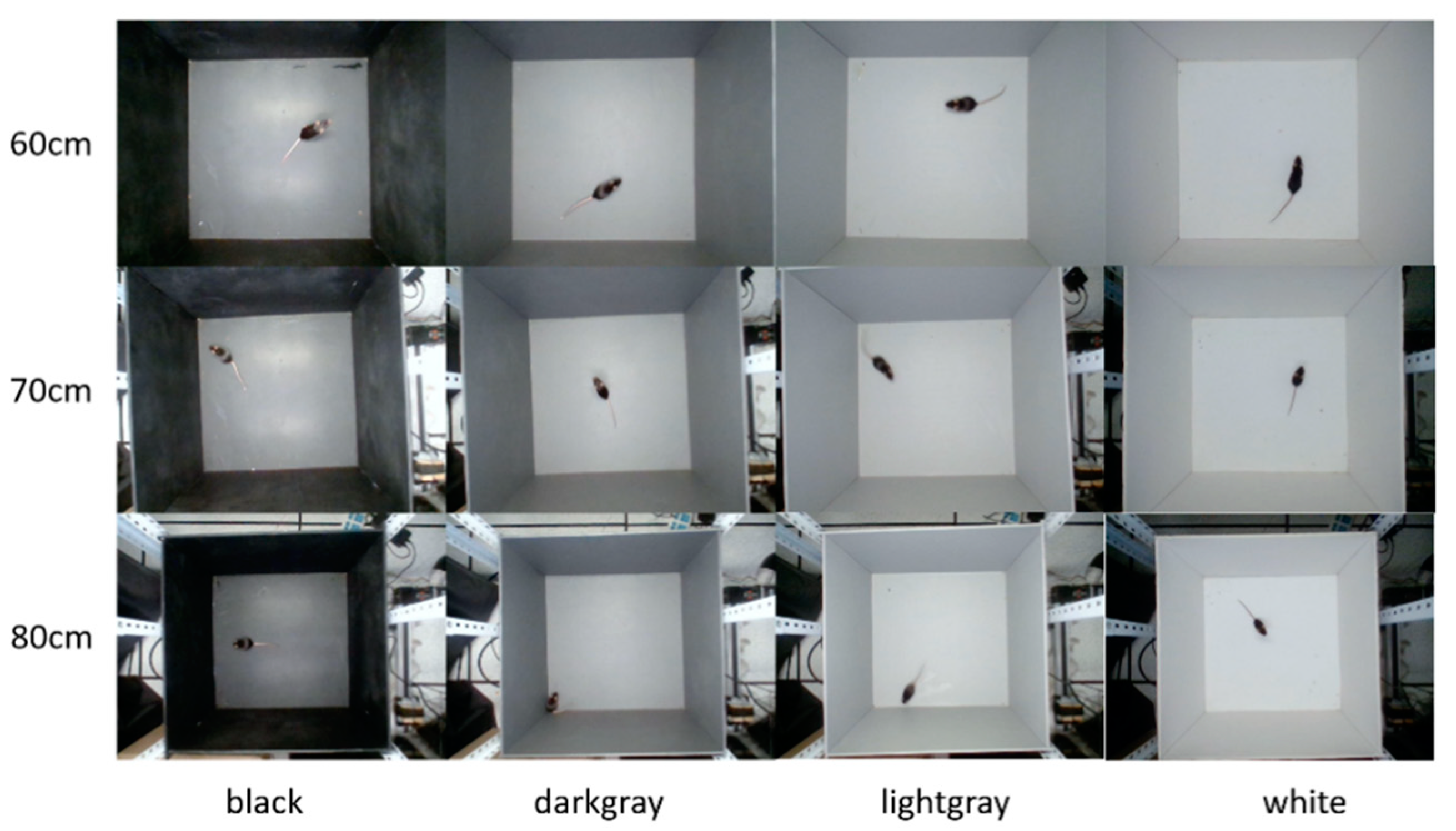 Symmetry 14 01437 g005 550