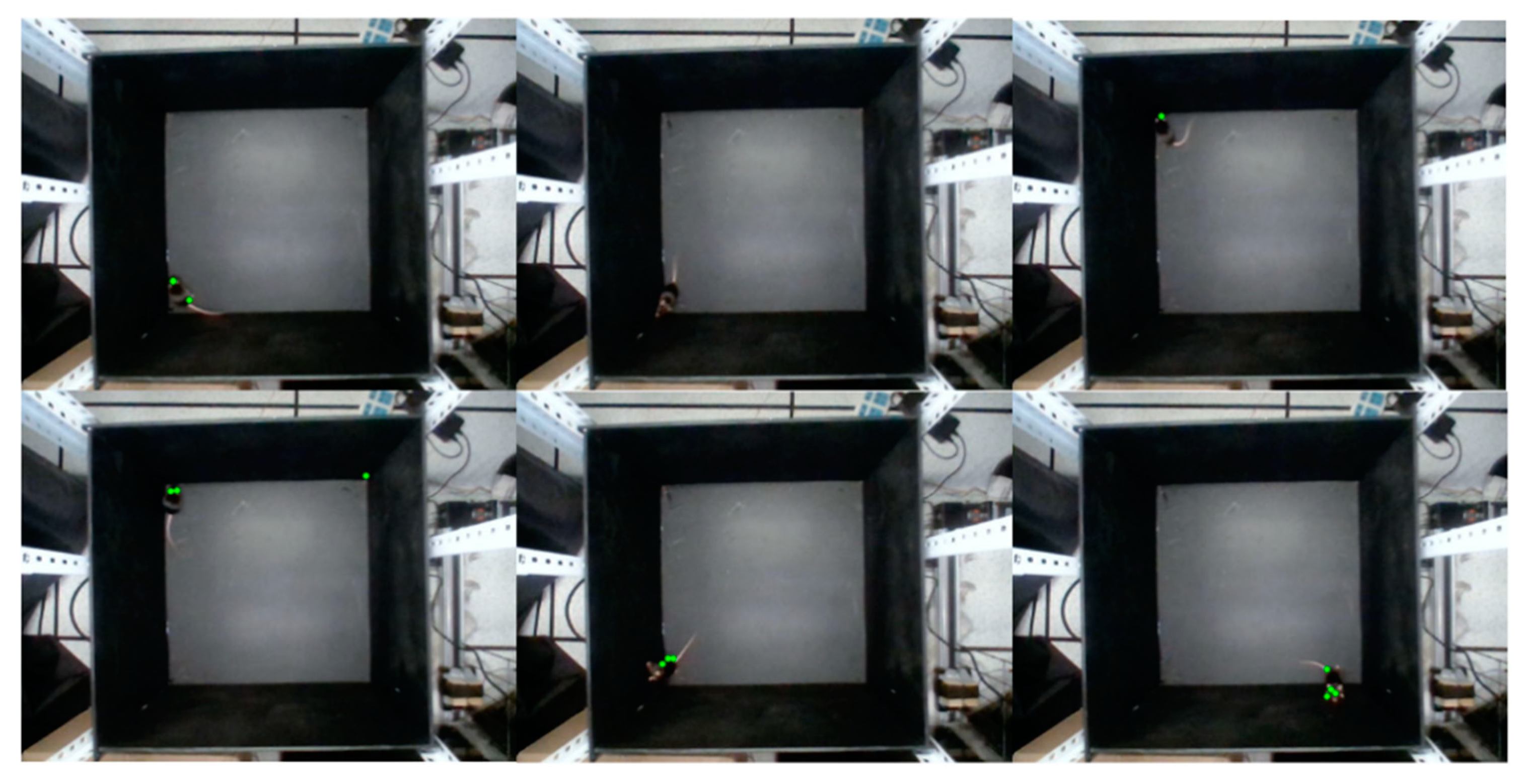 Symmetry 14 01437 g008 550