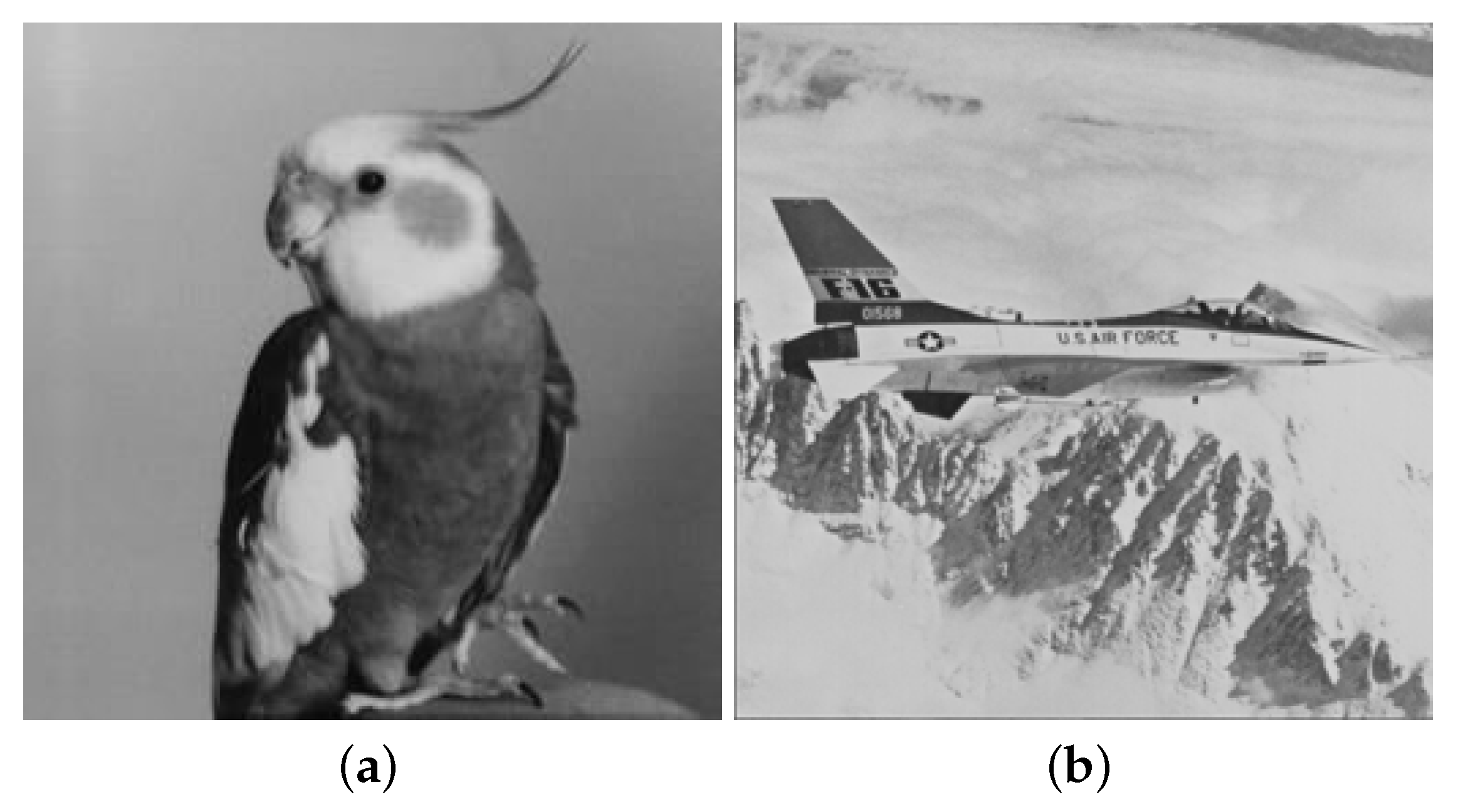 Symmetry 14 01445 g008