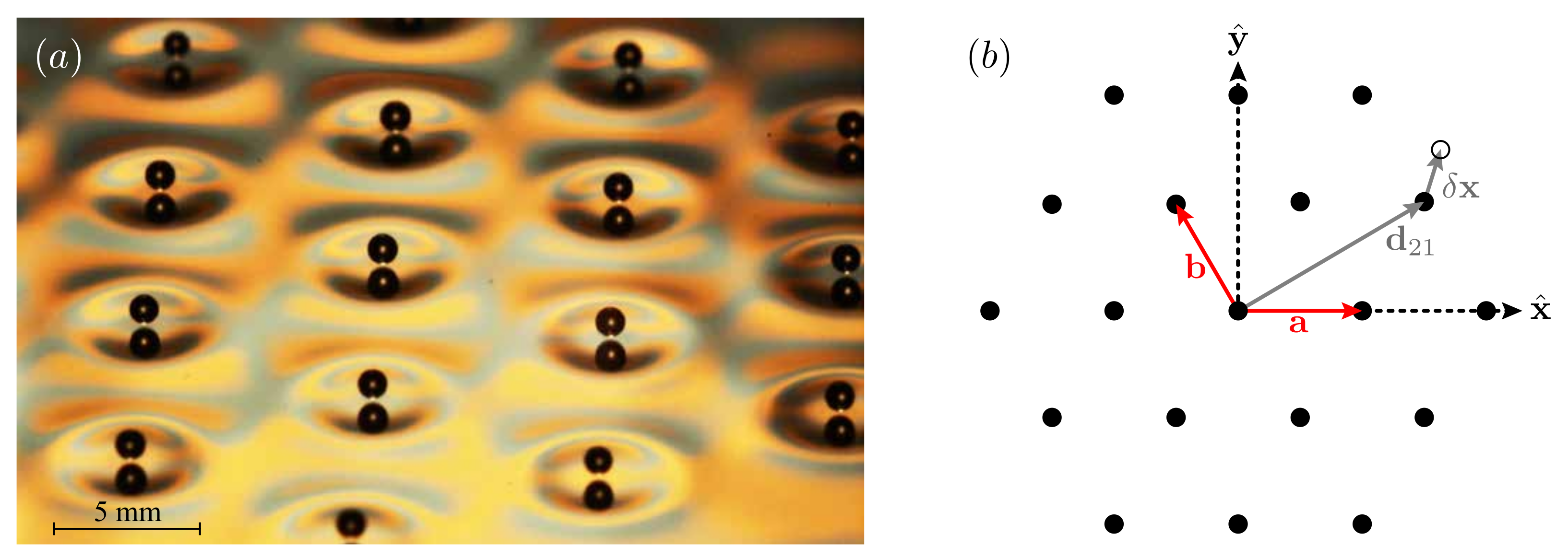 Symmetry 14 01524 g001 Symmetry 14 01524 g001