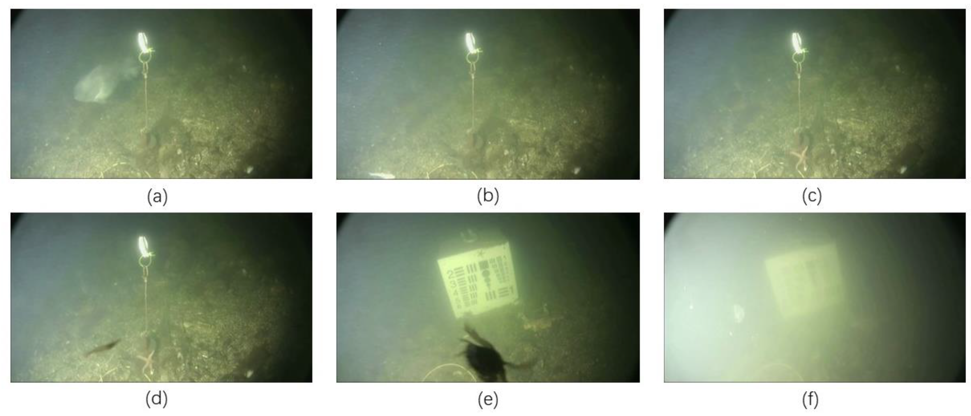 Symmetry 14 01669 g007