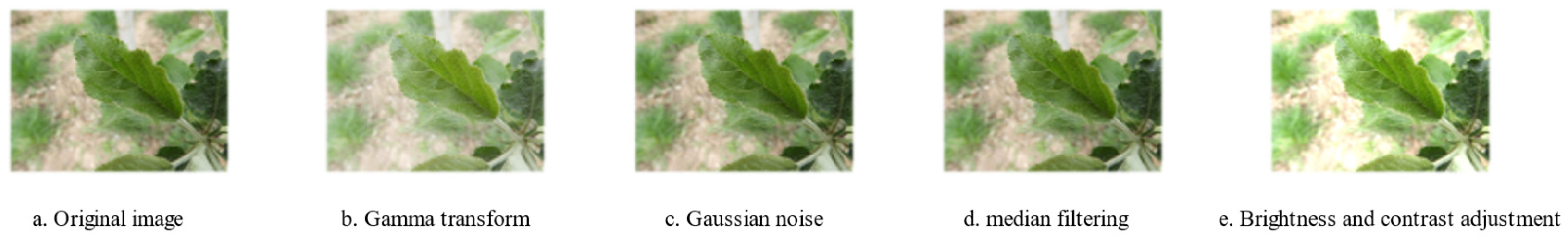 Symmetry 14 01671 g001