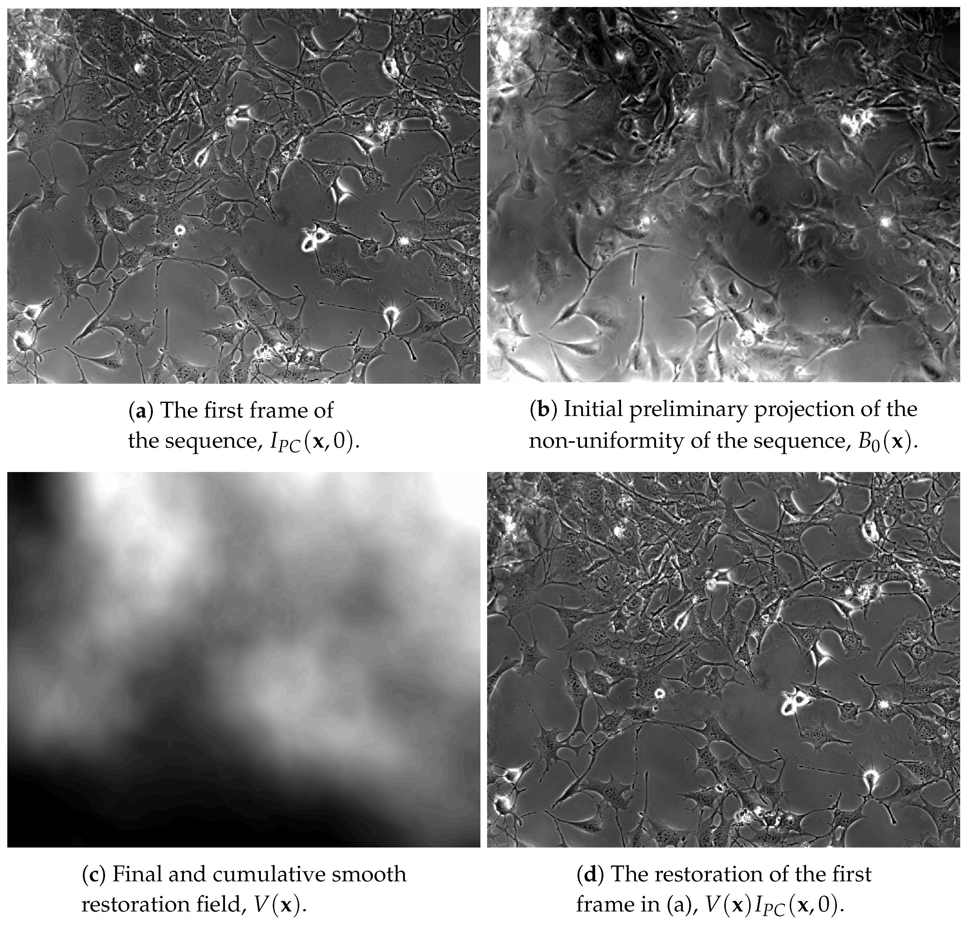 Symmetry 14 01802 g003