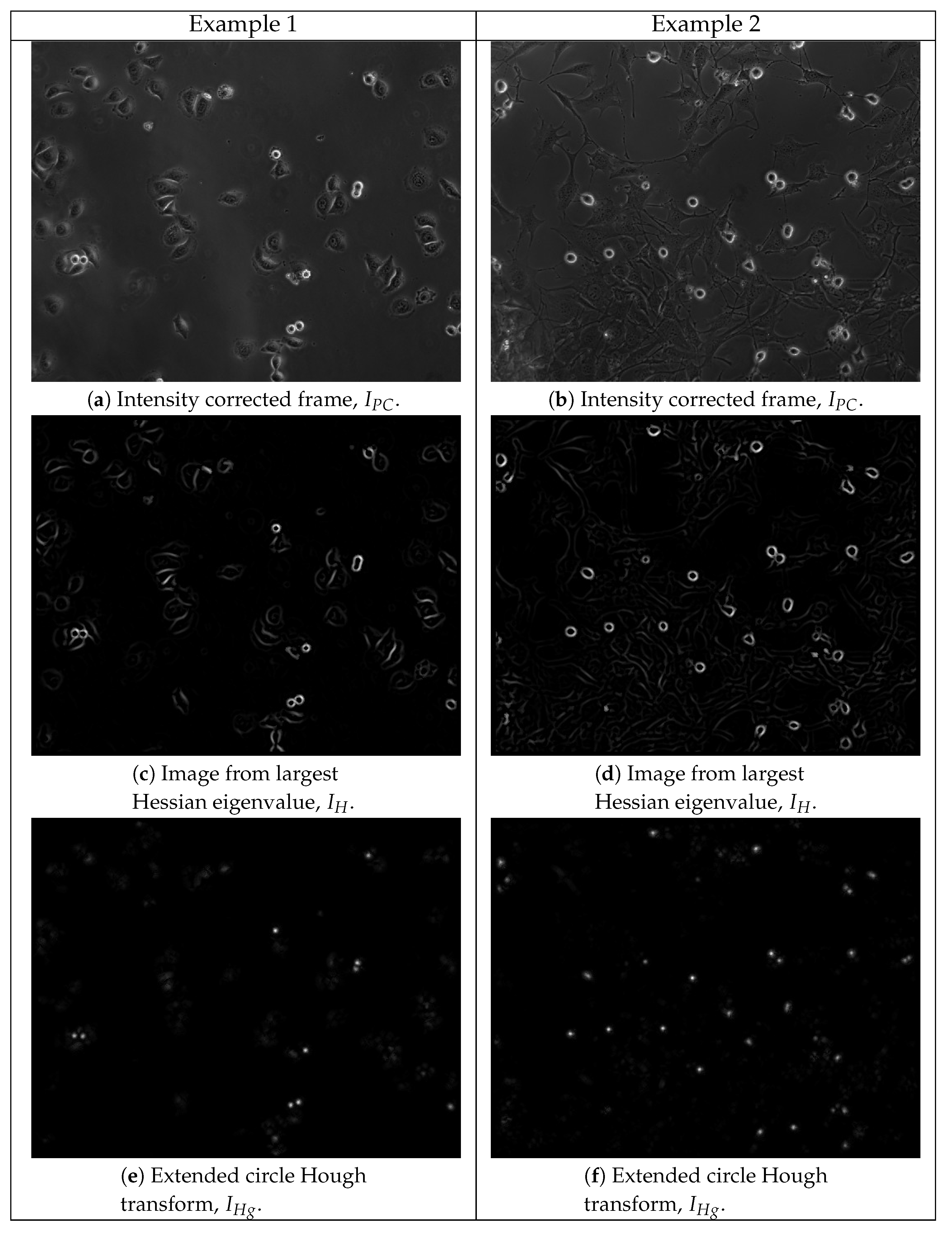 Symmetry 14 01802 g005