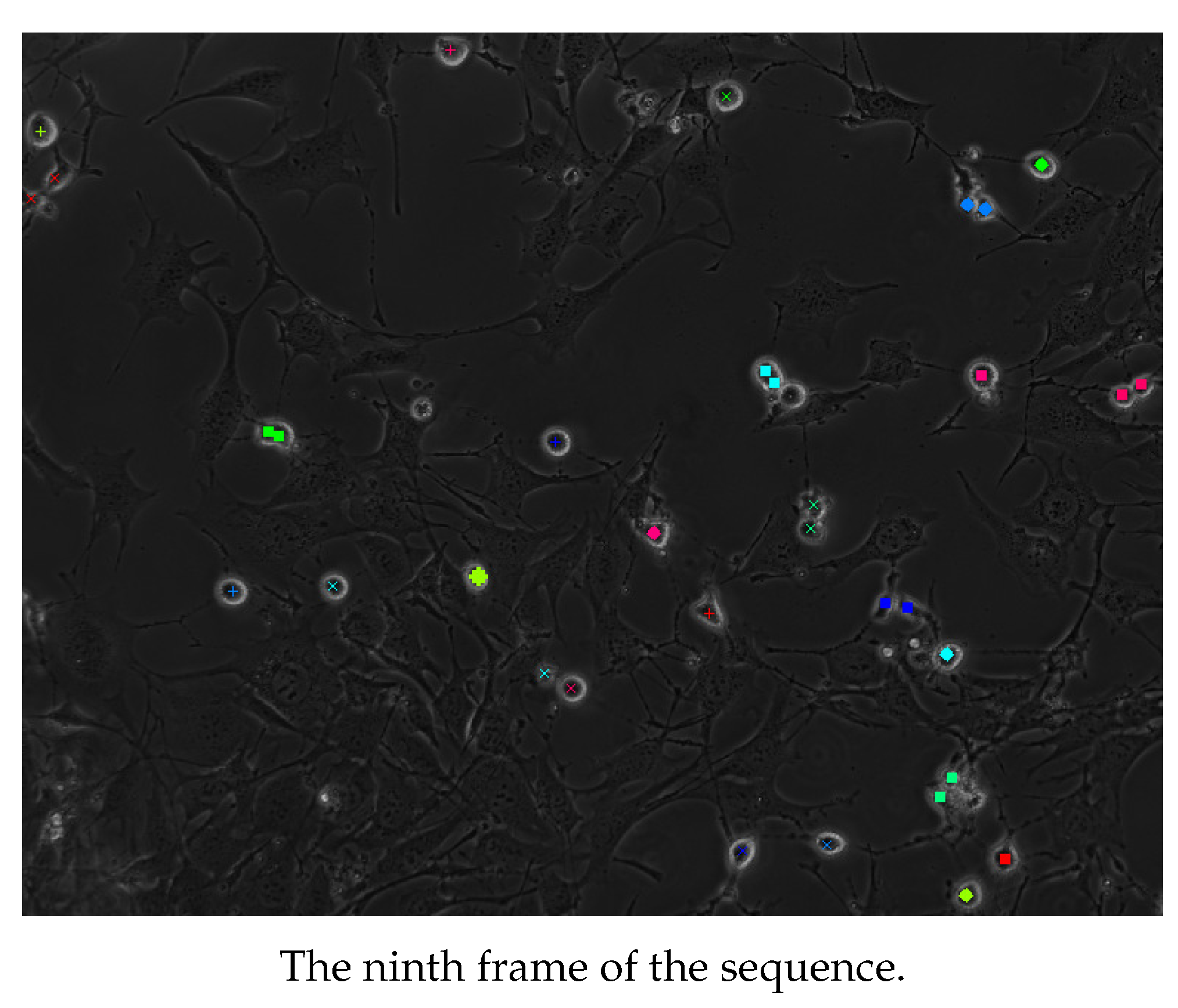 Symmetry 14 01802 g013
