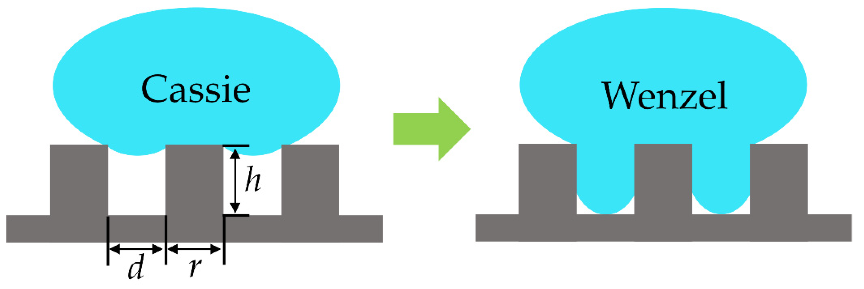 Symmetry 14 01891 g001