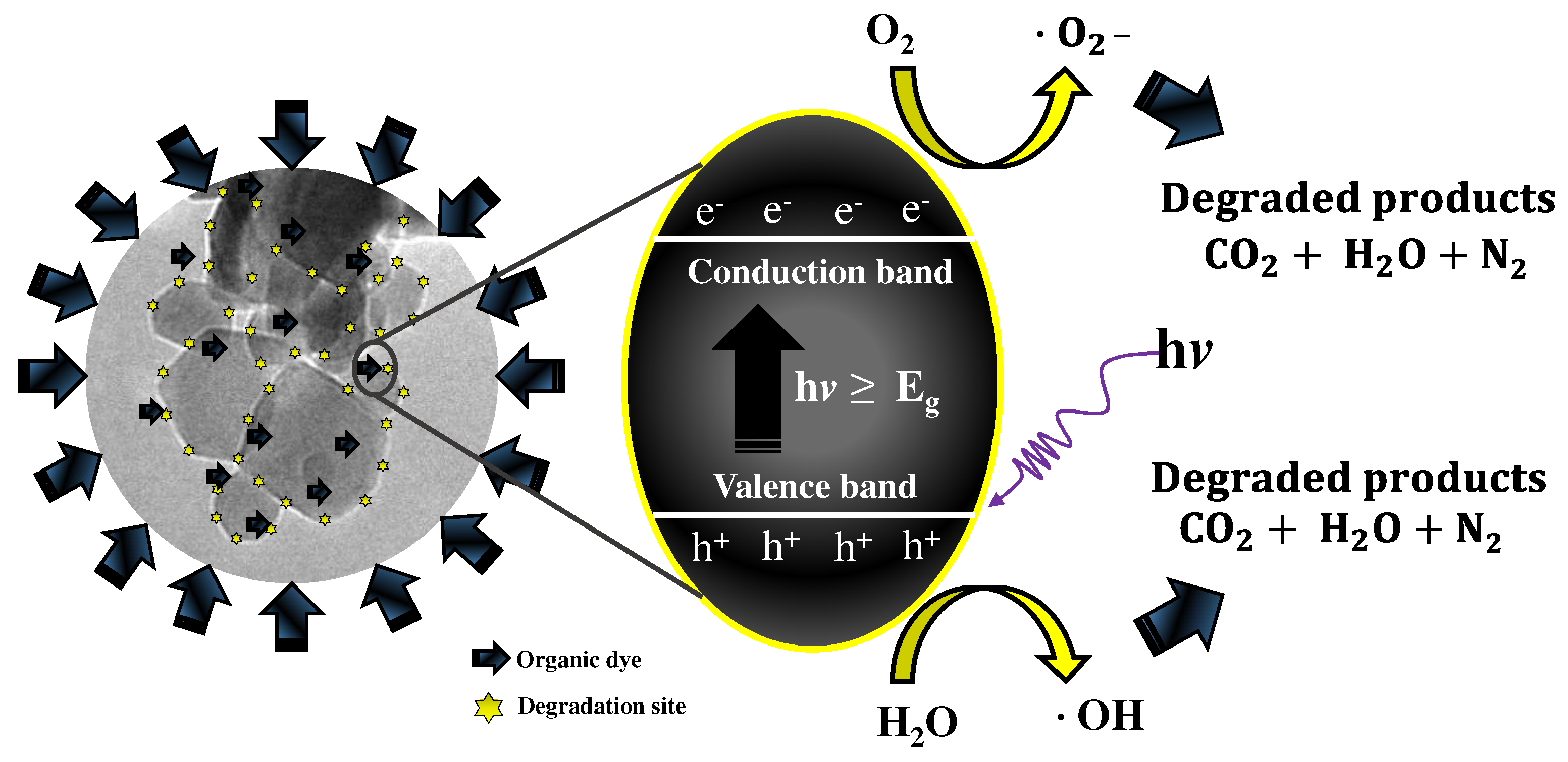 Symmetry 14 01970 g008