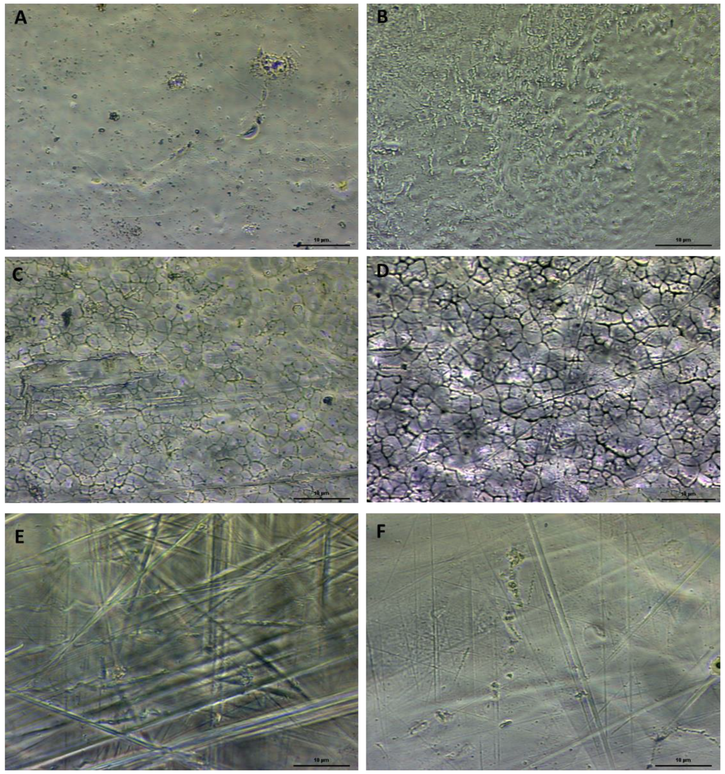 Symmetry 14 02063 g003