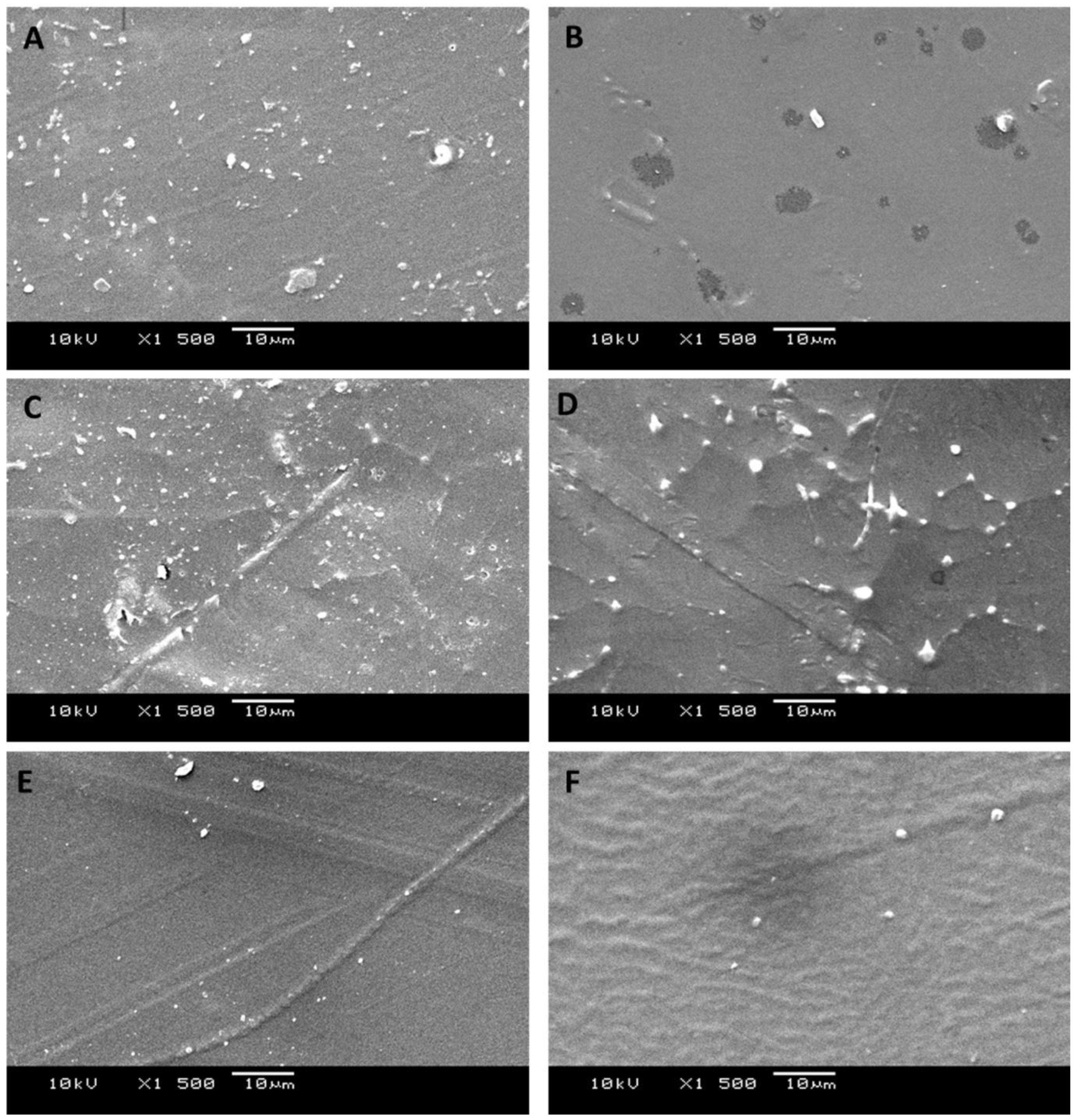 Symmetry 14 02063 g004