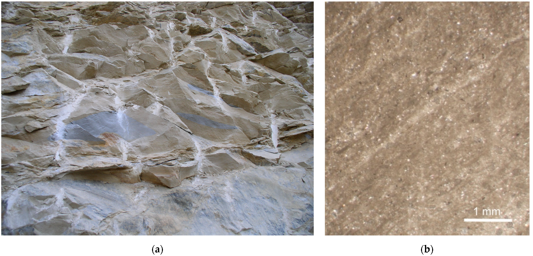 Symmetry 14 02170 g006