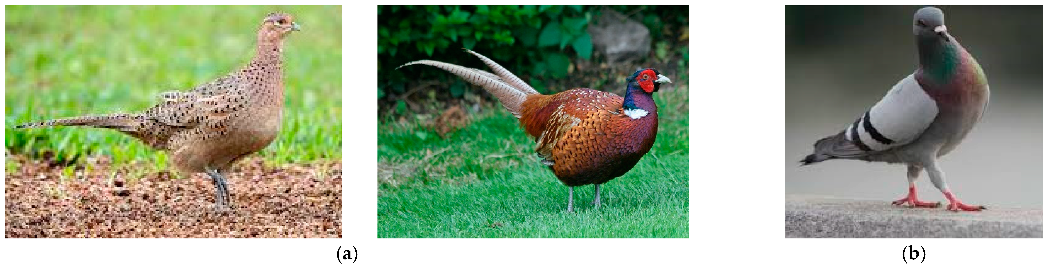 Symmetry 14 02198 g003