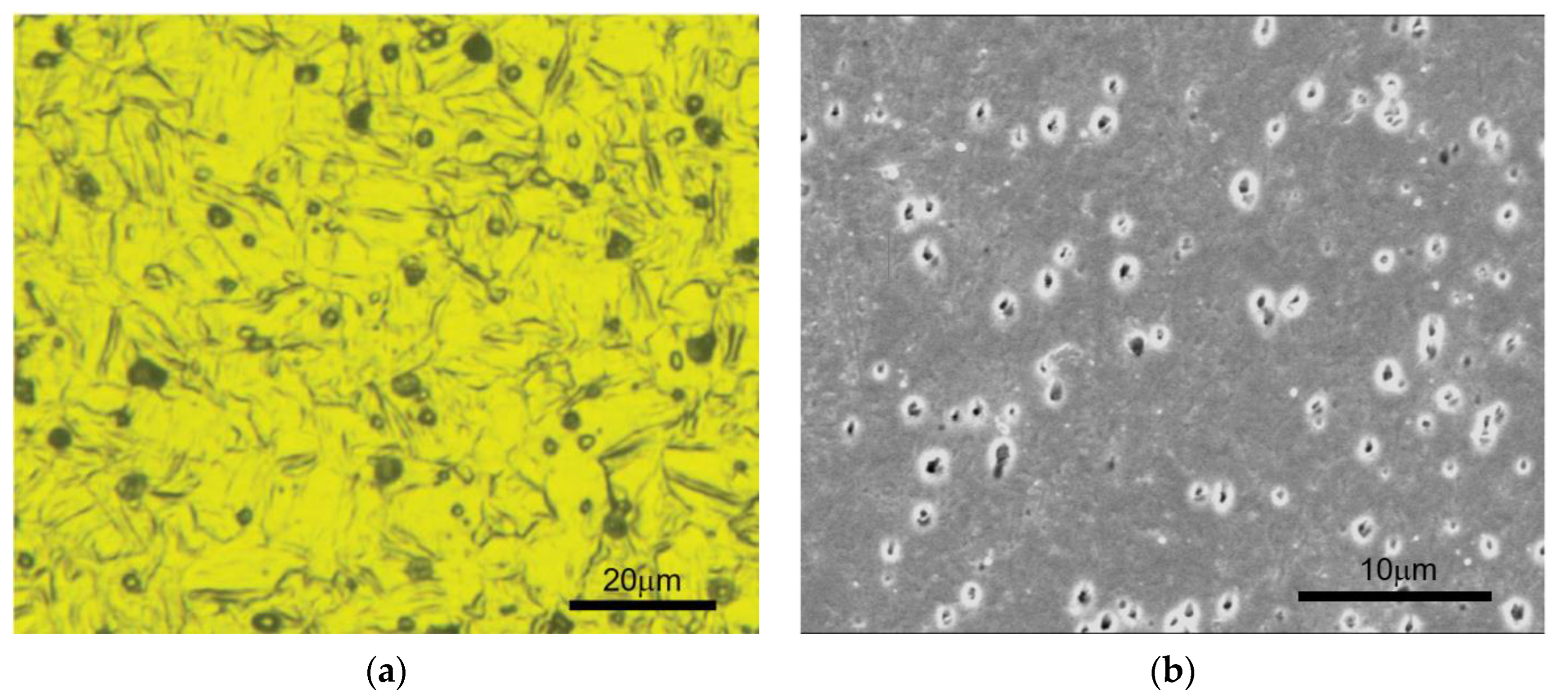 Symmetry 14 02209 g001