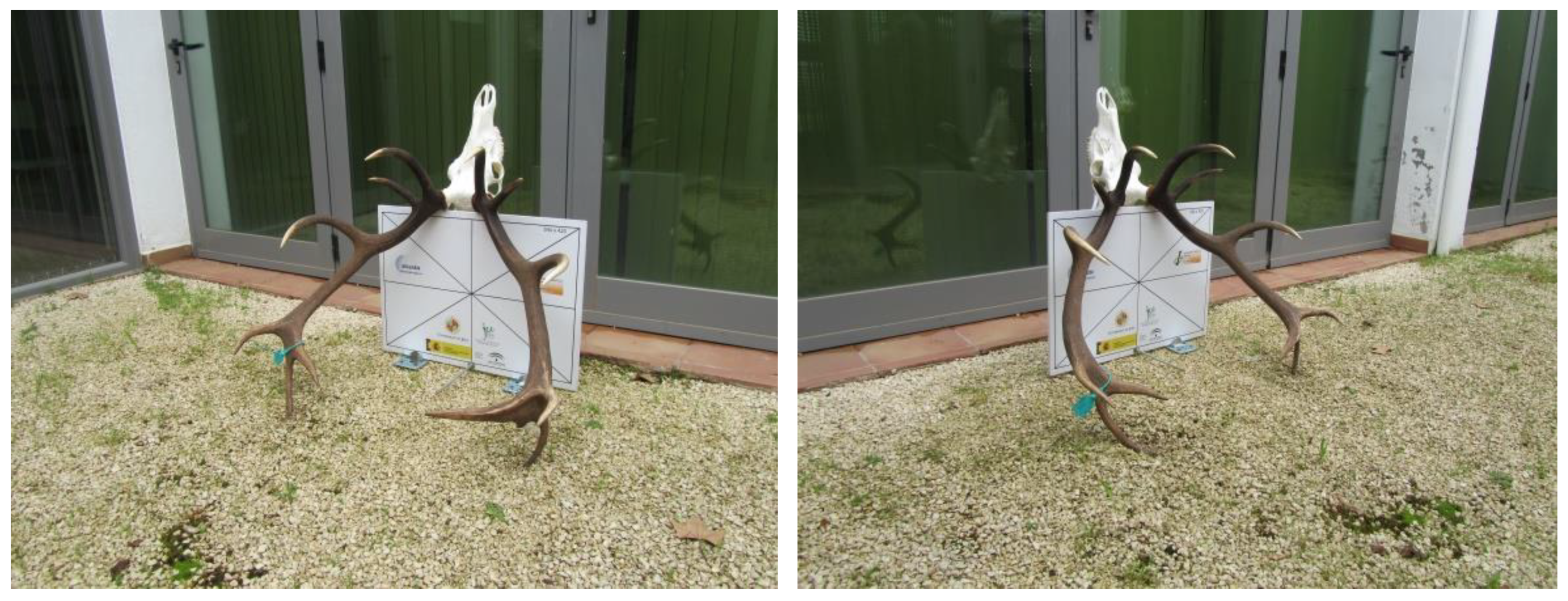 Symmetry 14 02296 g001a