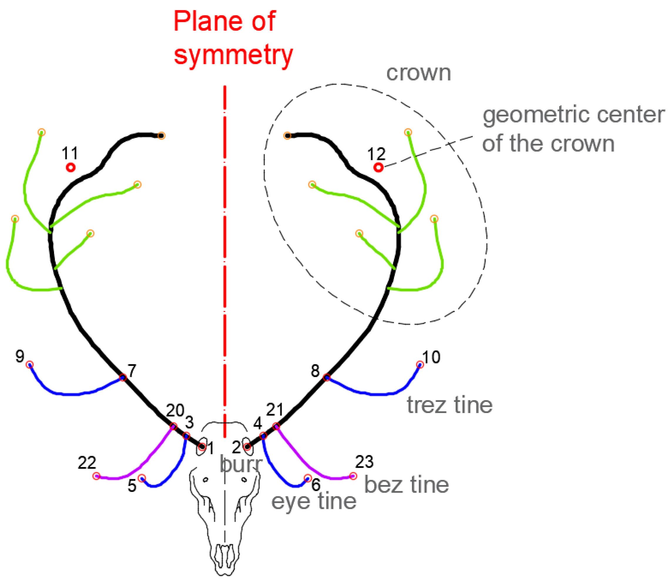 Symmetry 14 02296 g002