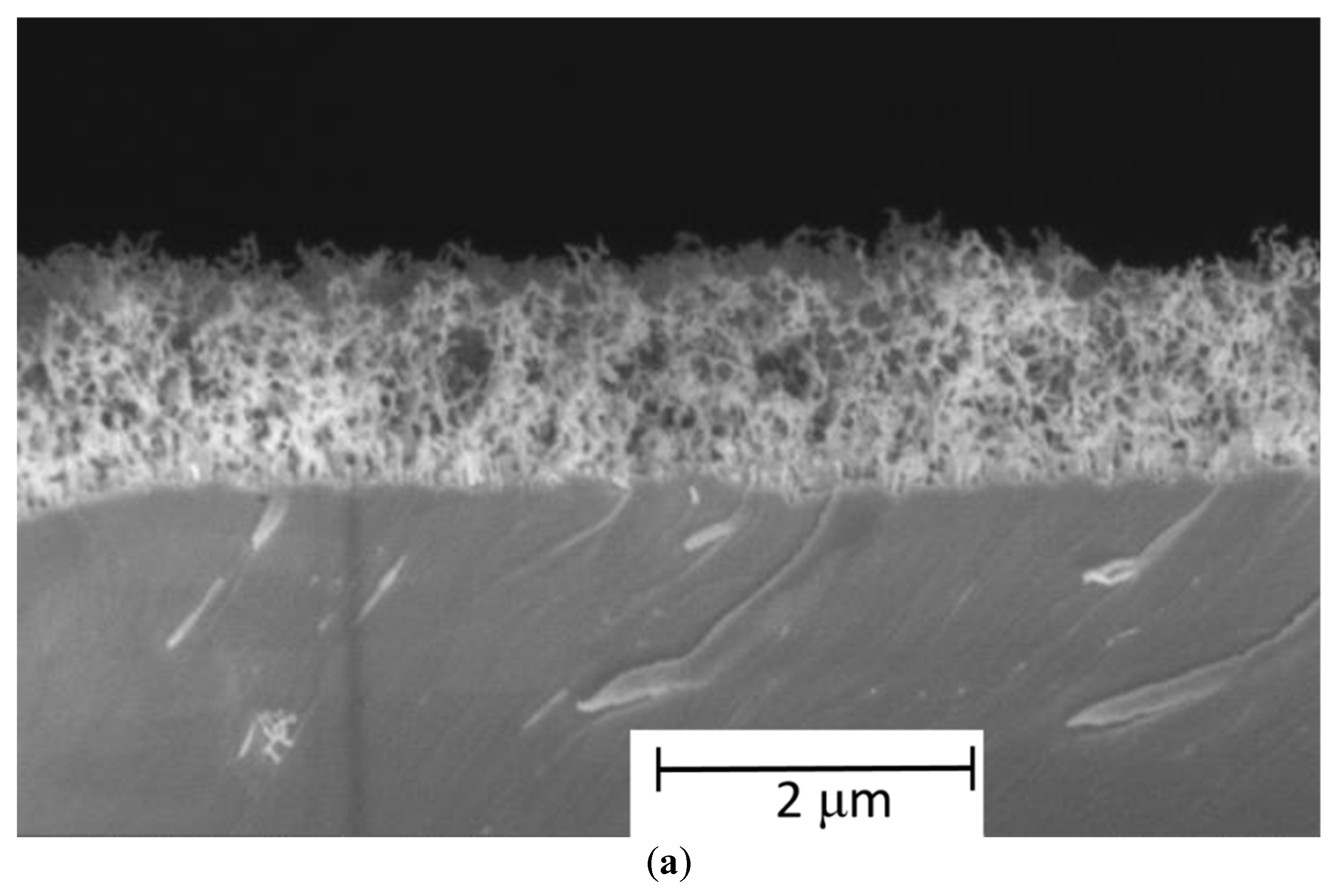Symmetry 14 02346 g006a Symmetry 14 02346 g006a
