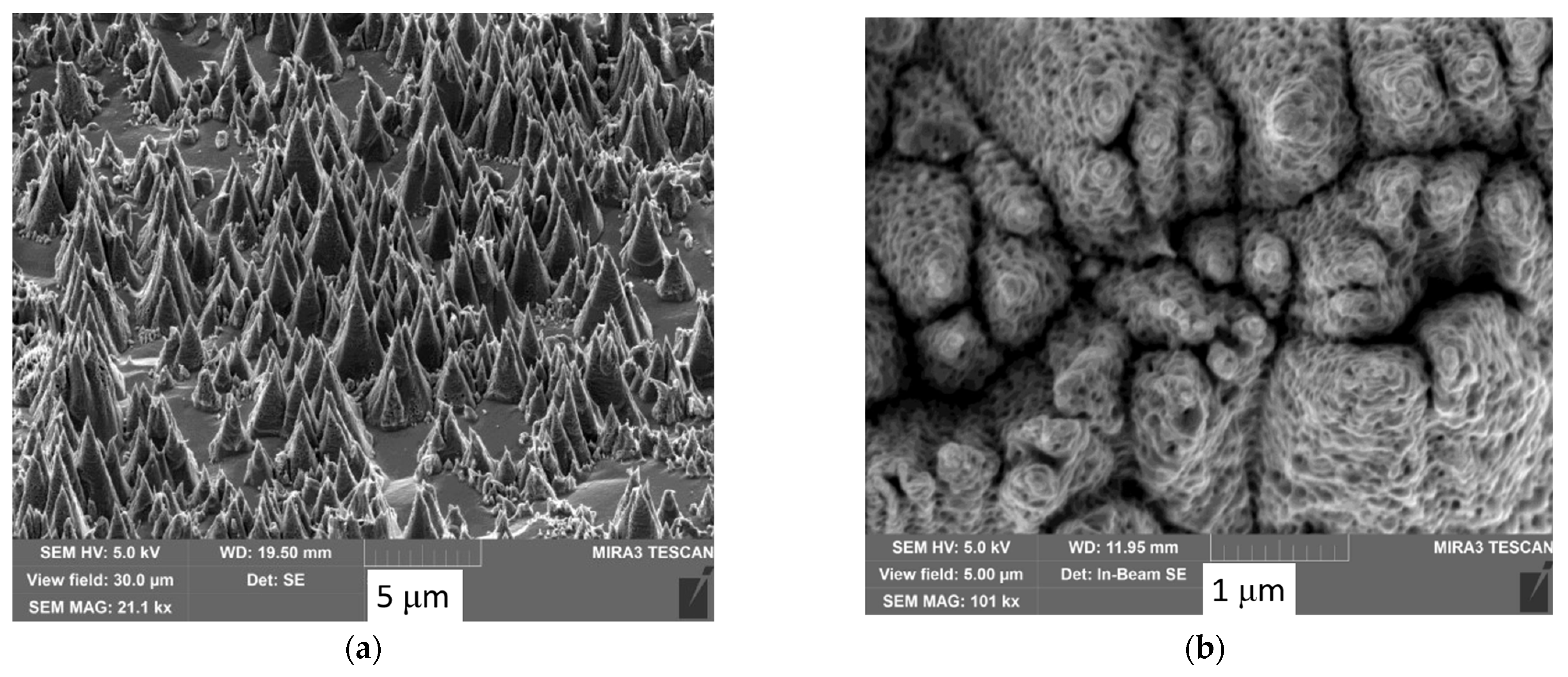 Symmetry 14 02346 g011 Symmetry 14 02346 g011