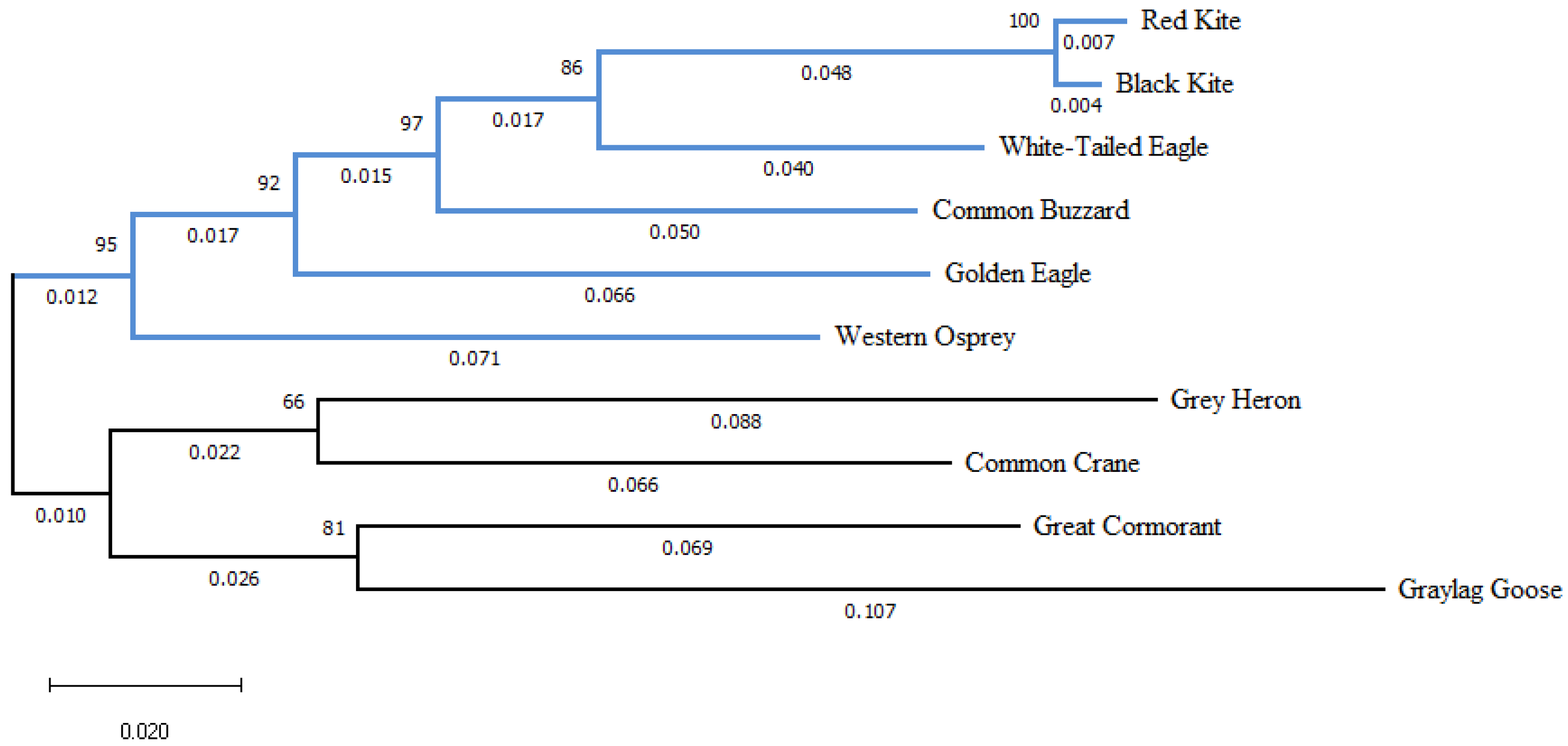 Symmetry 14 02493 g008