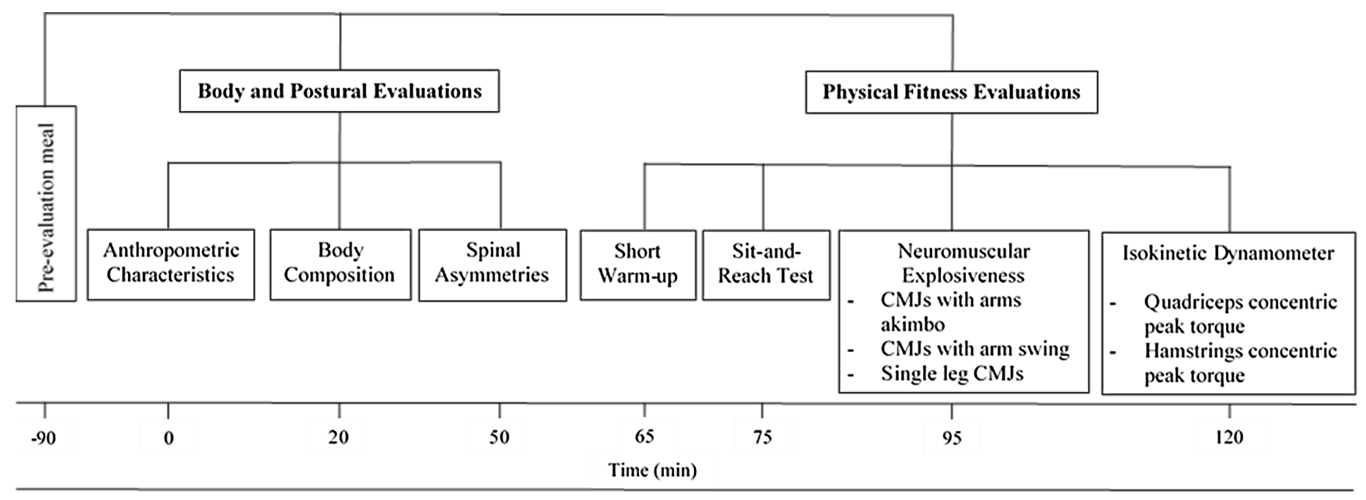 Symmetry 14 02497 g001