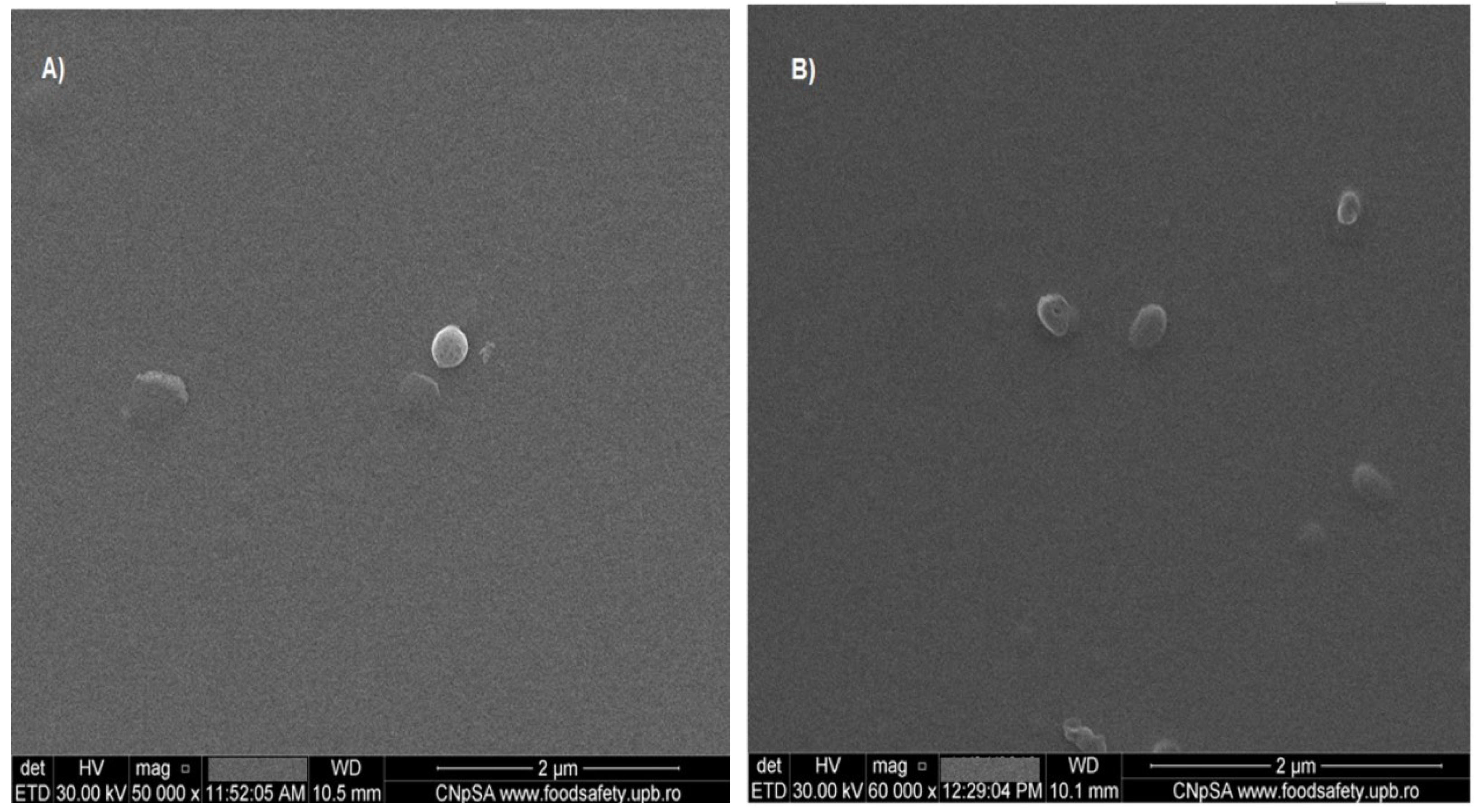 Symmetry 14 02506 g001 Symmetry 14 02506 g001