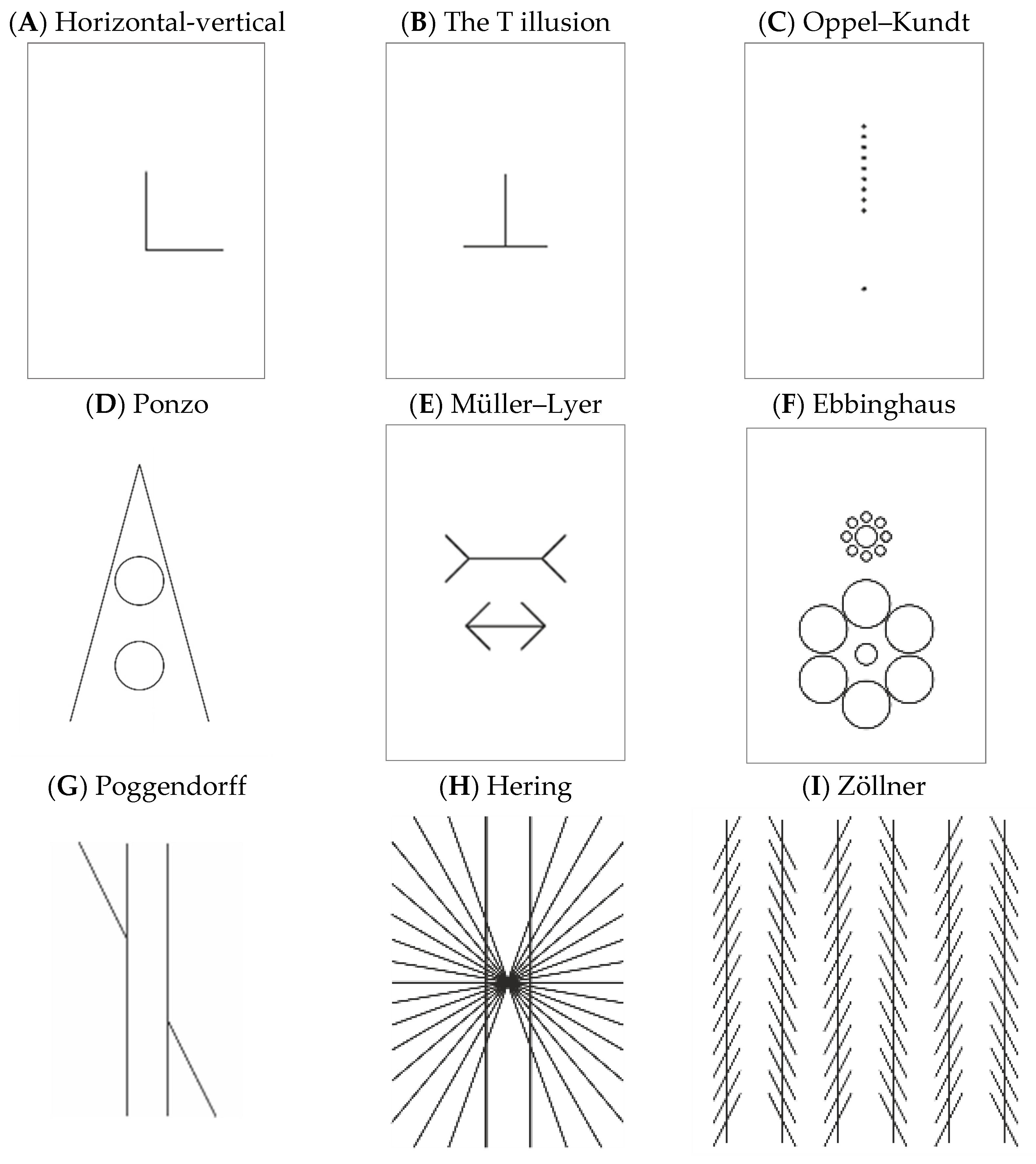 How Do Optical Illusions Work? - Neuroscience News