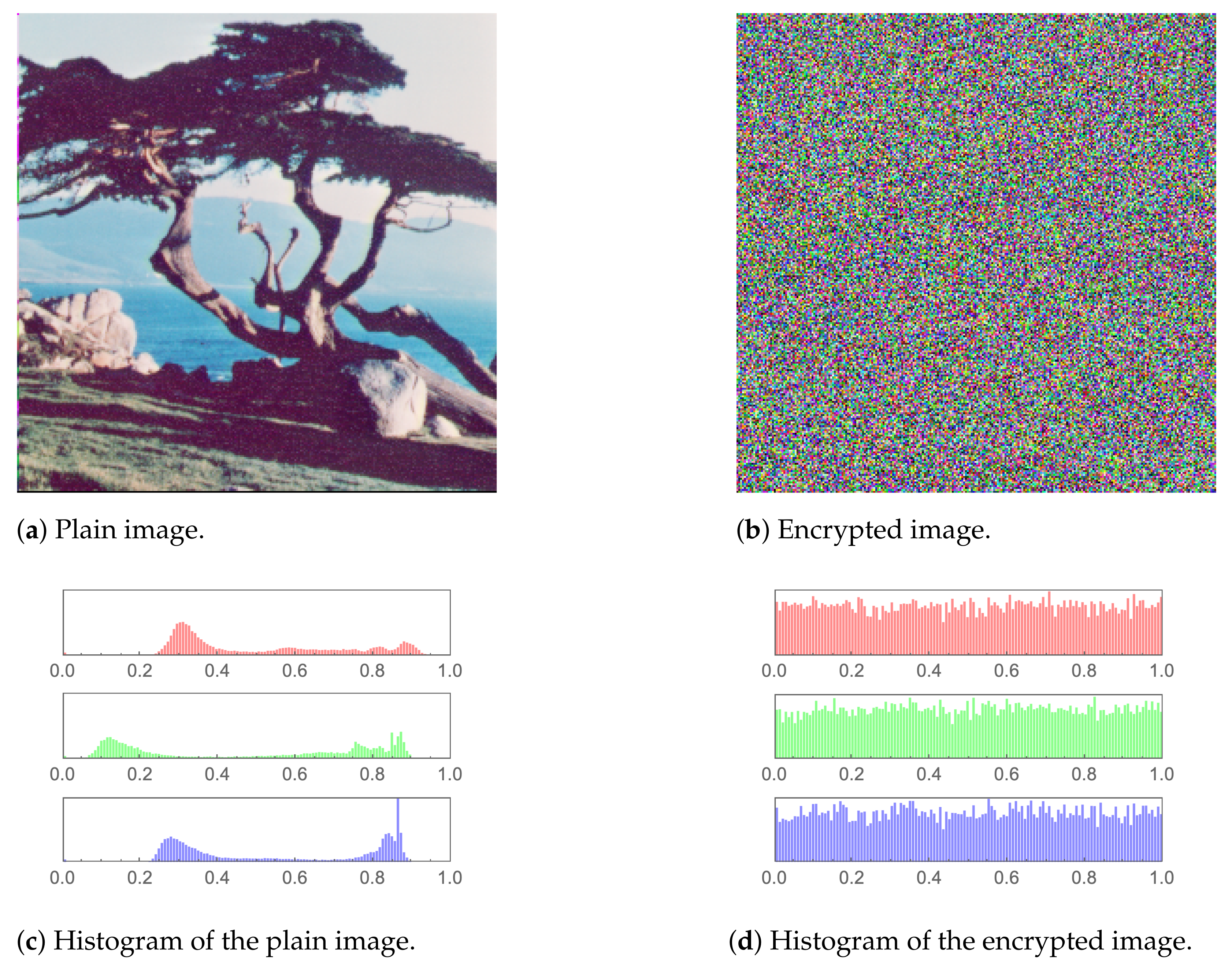 Symmetry 14 02559 g009