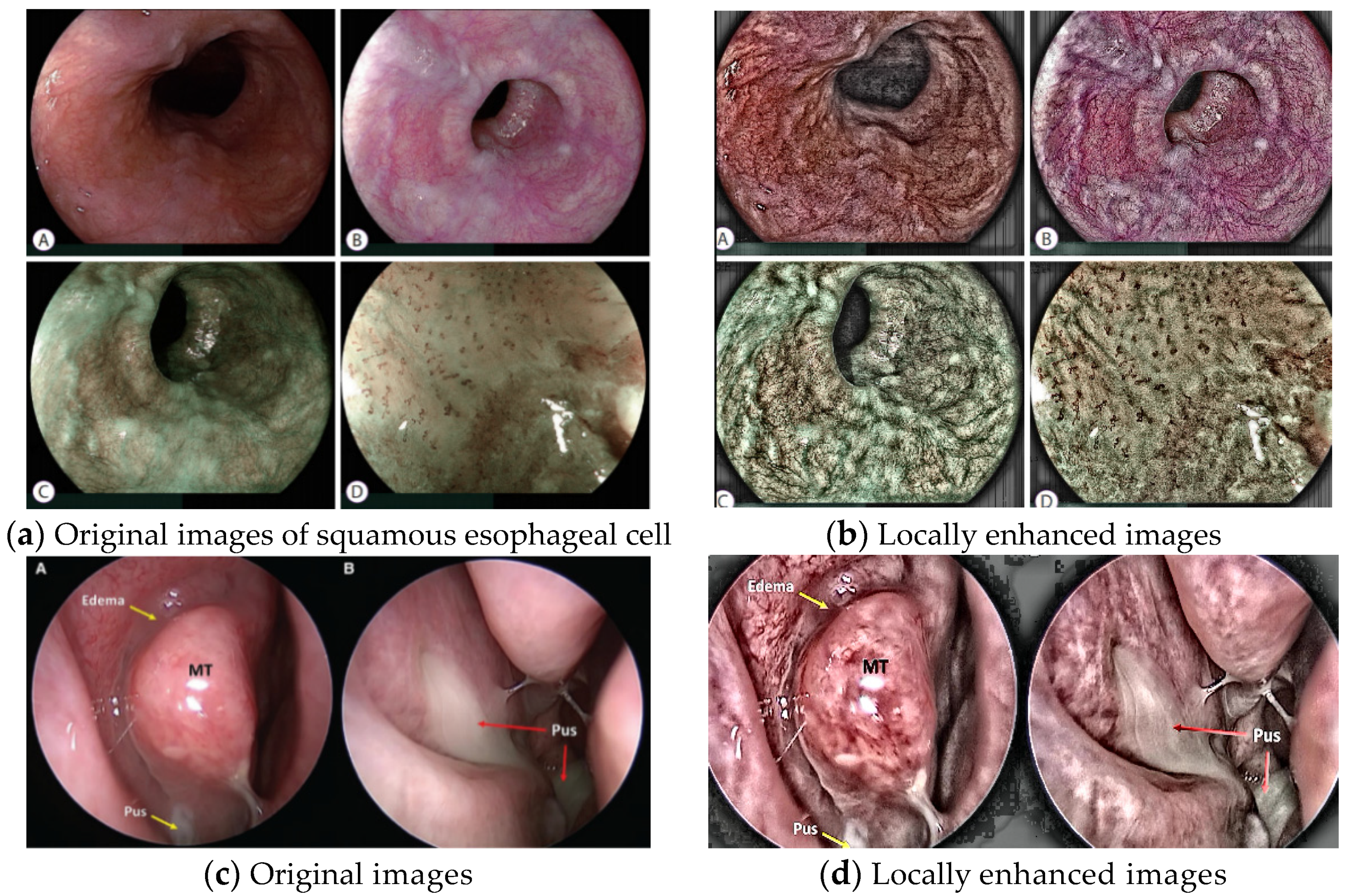 Symmetry 14 02582 g008 Symmetry 14 02582 g008