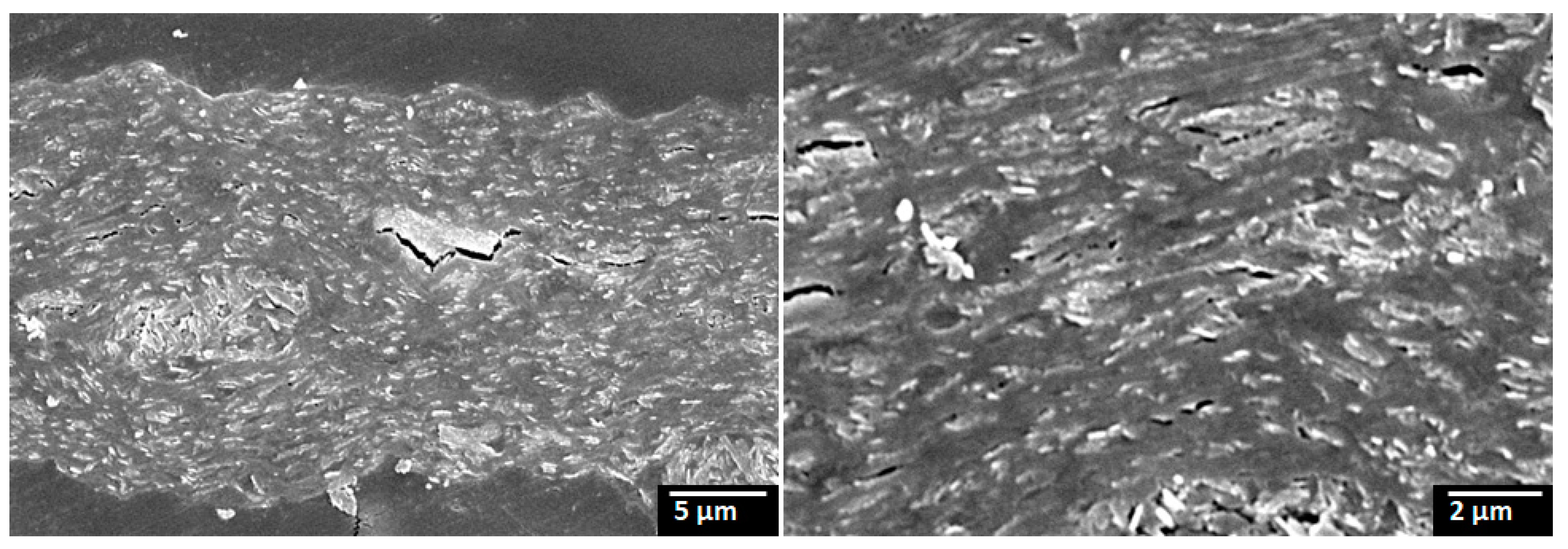 Symmetry 14 02597 g005 Symmetry 14 02597 g005