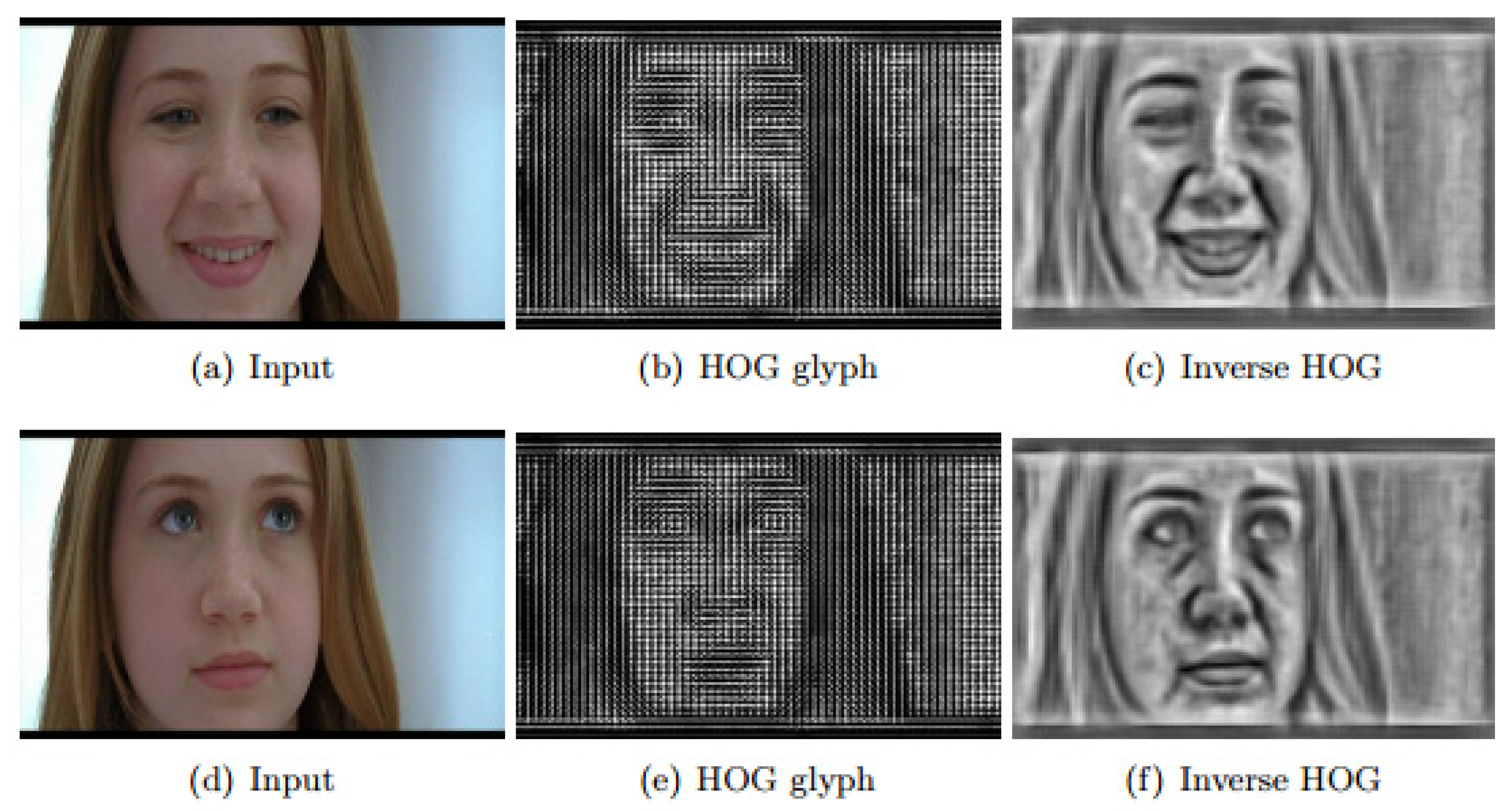 Symmetry 14 02607 g002