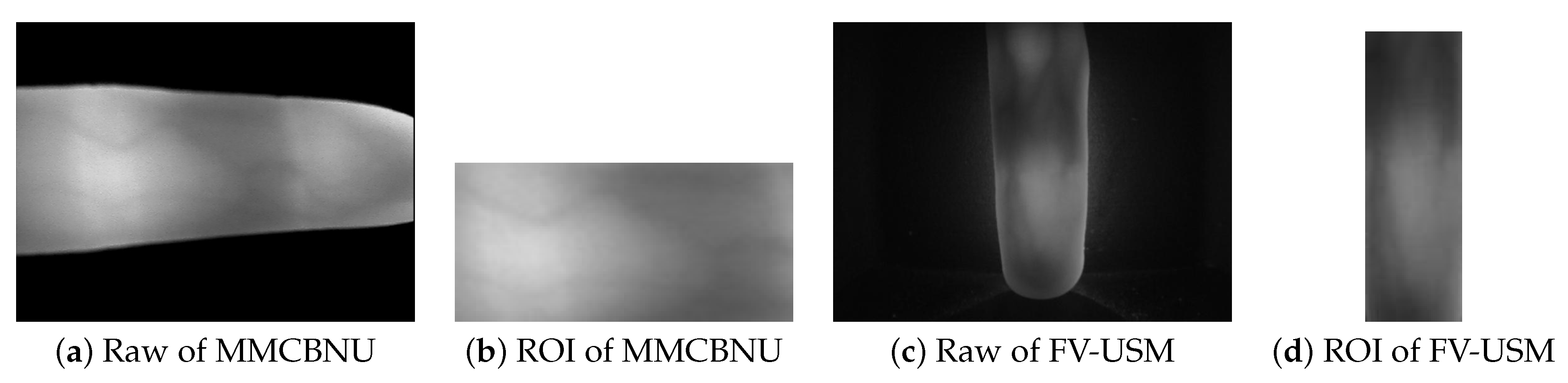 Symmetry 14 02686 g004