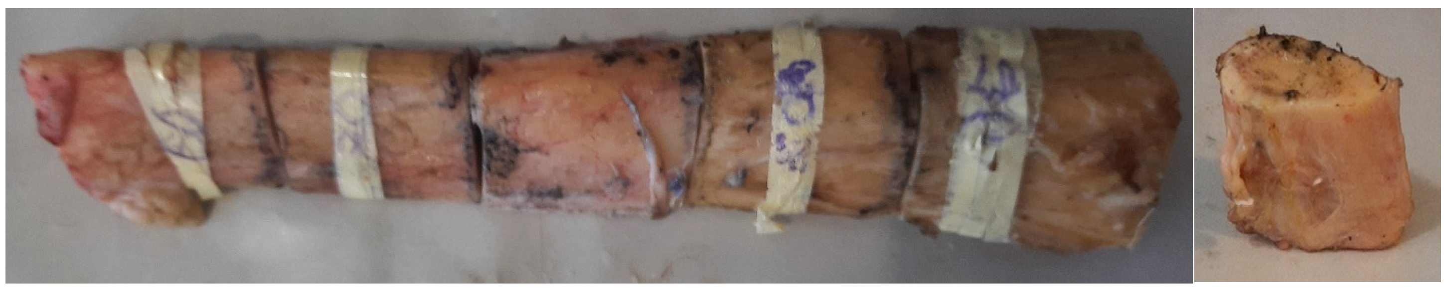 Symmetry 15 00156 g002