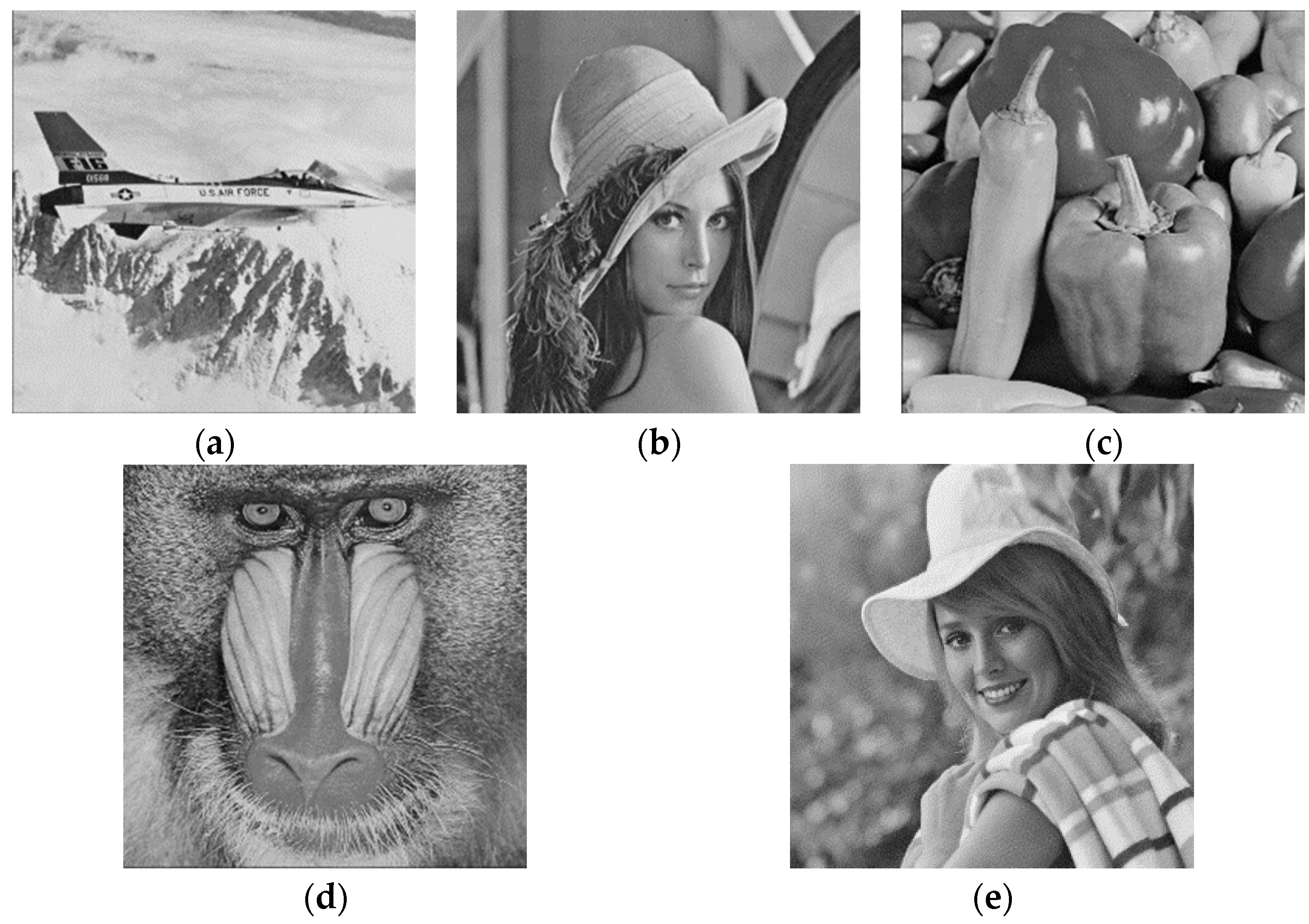 Symmetry 15 00189 g005