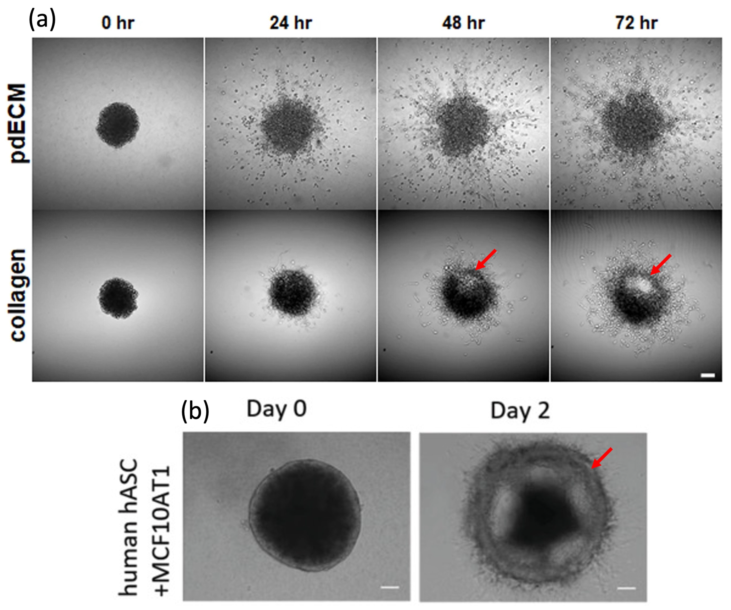 Symmetry 15 00283 g001