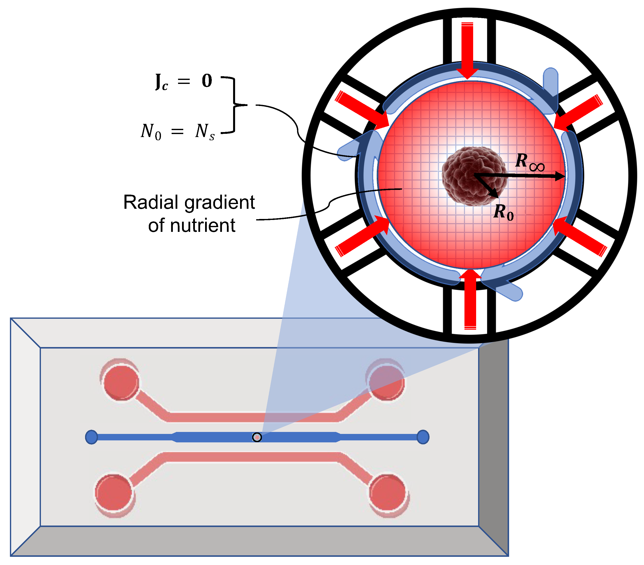 Symmetry 15 00283 g003