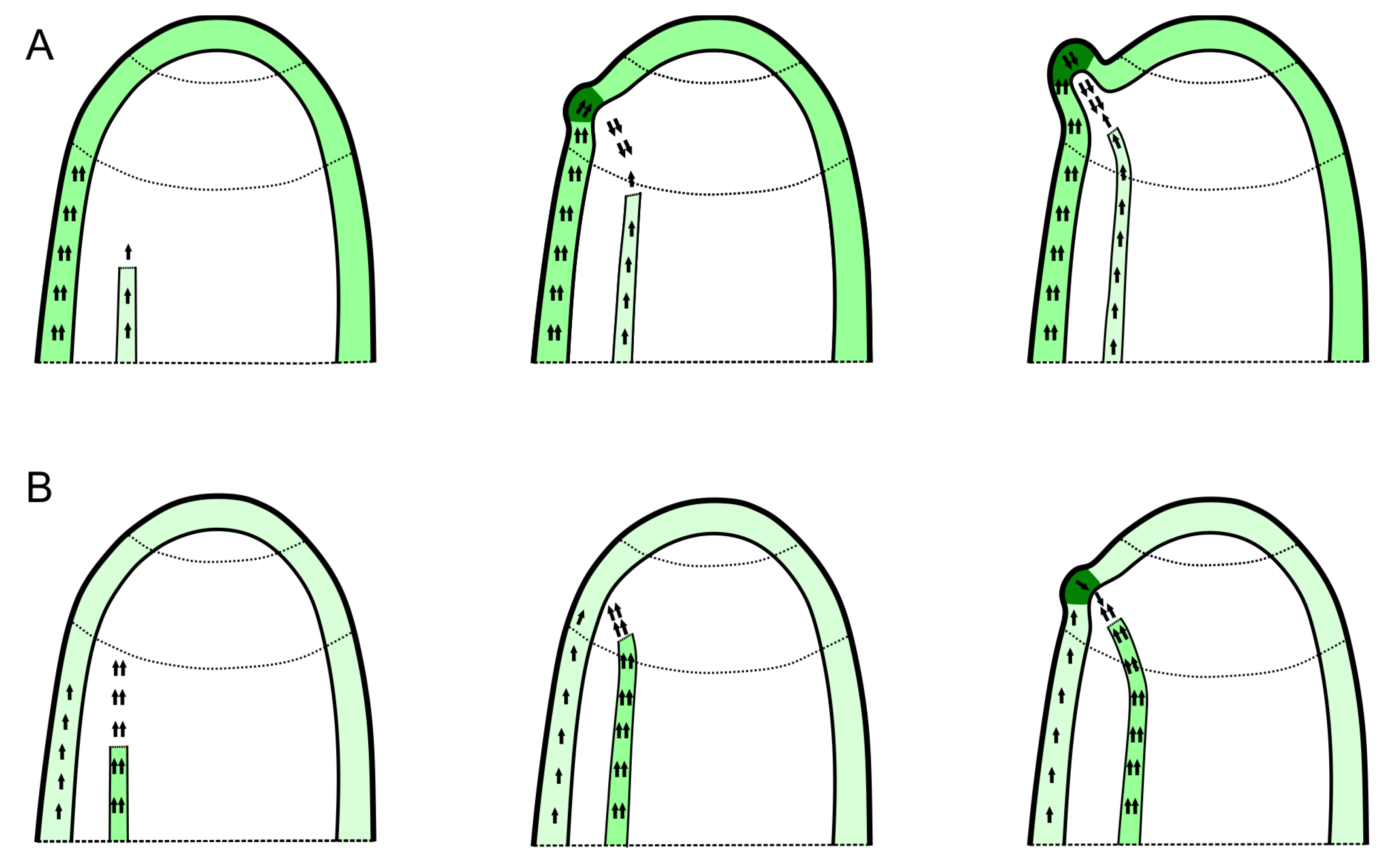 Symmetry 15 00364 g002
