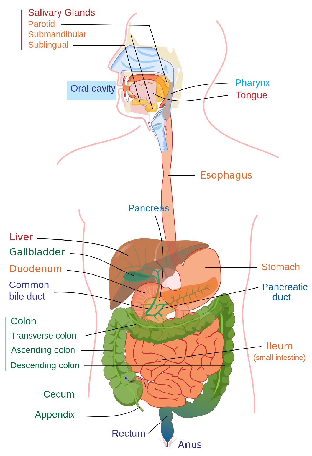 Symmetry 15 00379 g001