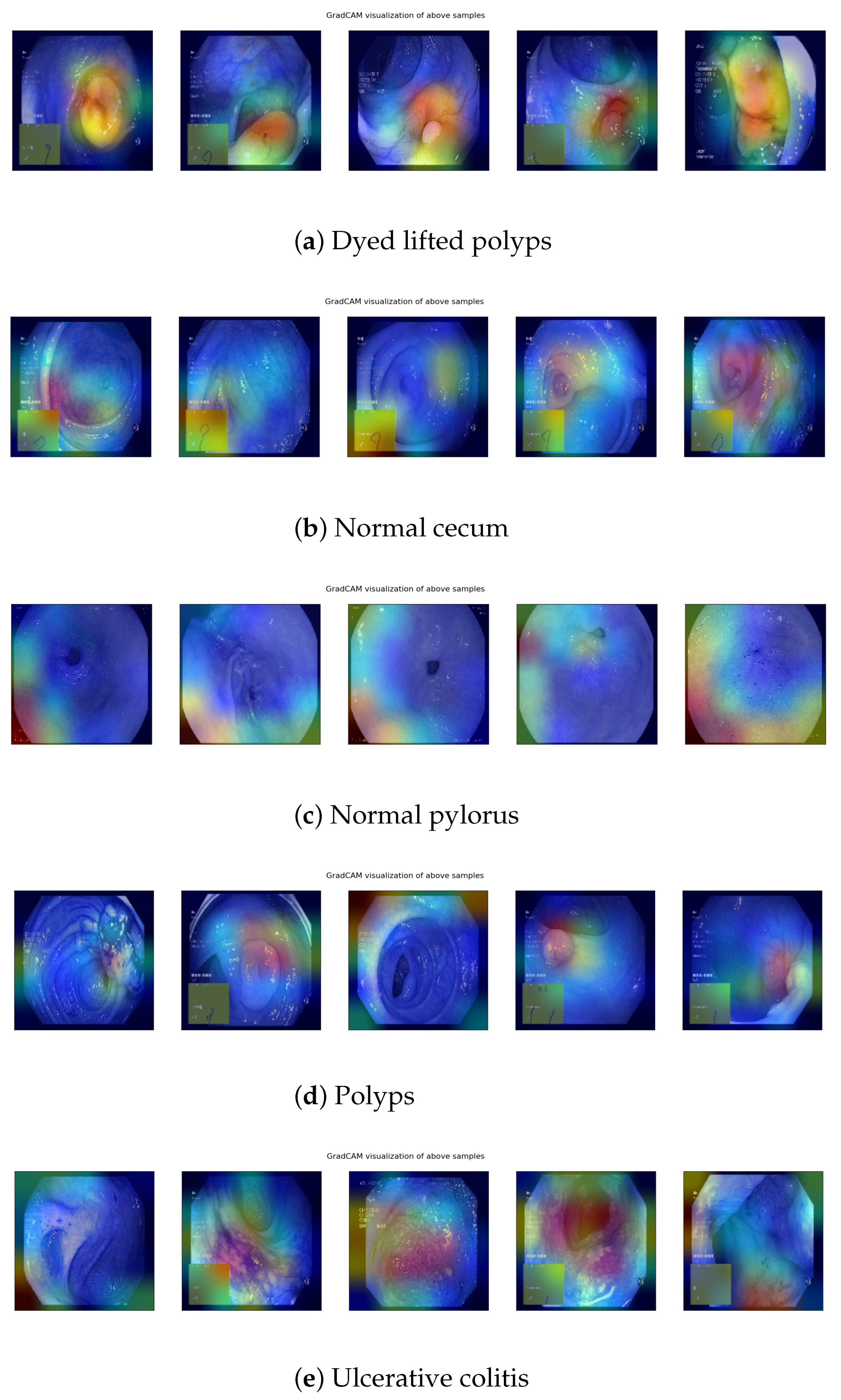 Symmetry 15 00379 g007