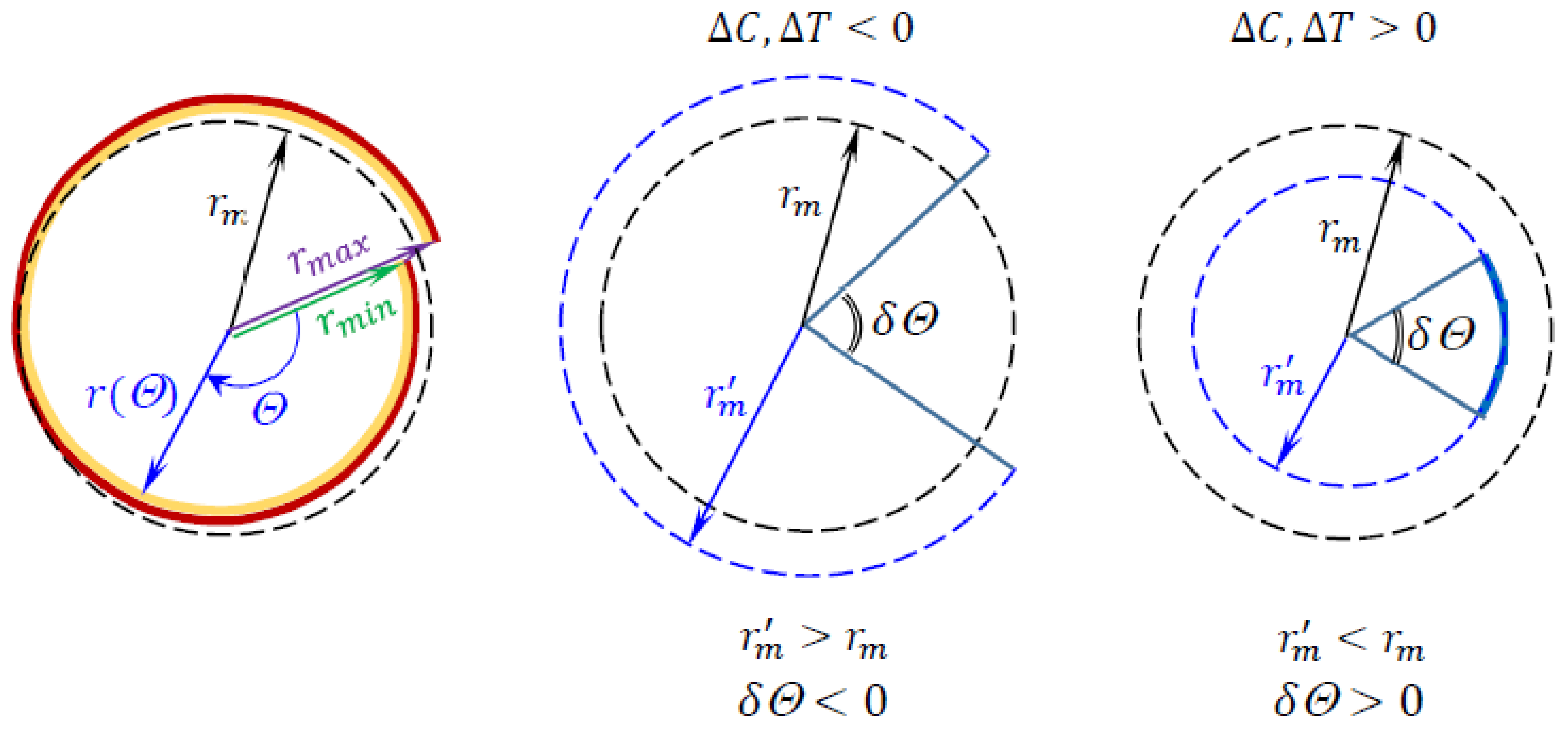 Symmetry 15 00462 g005