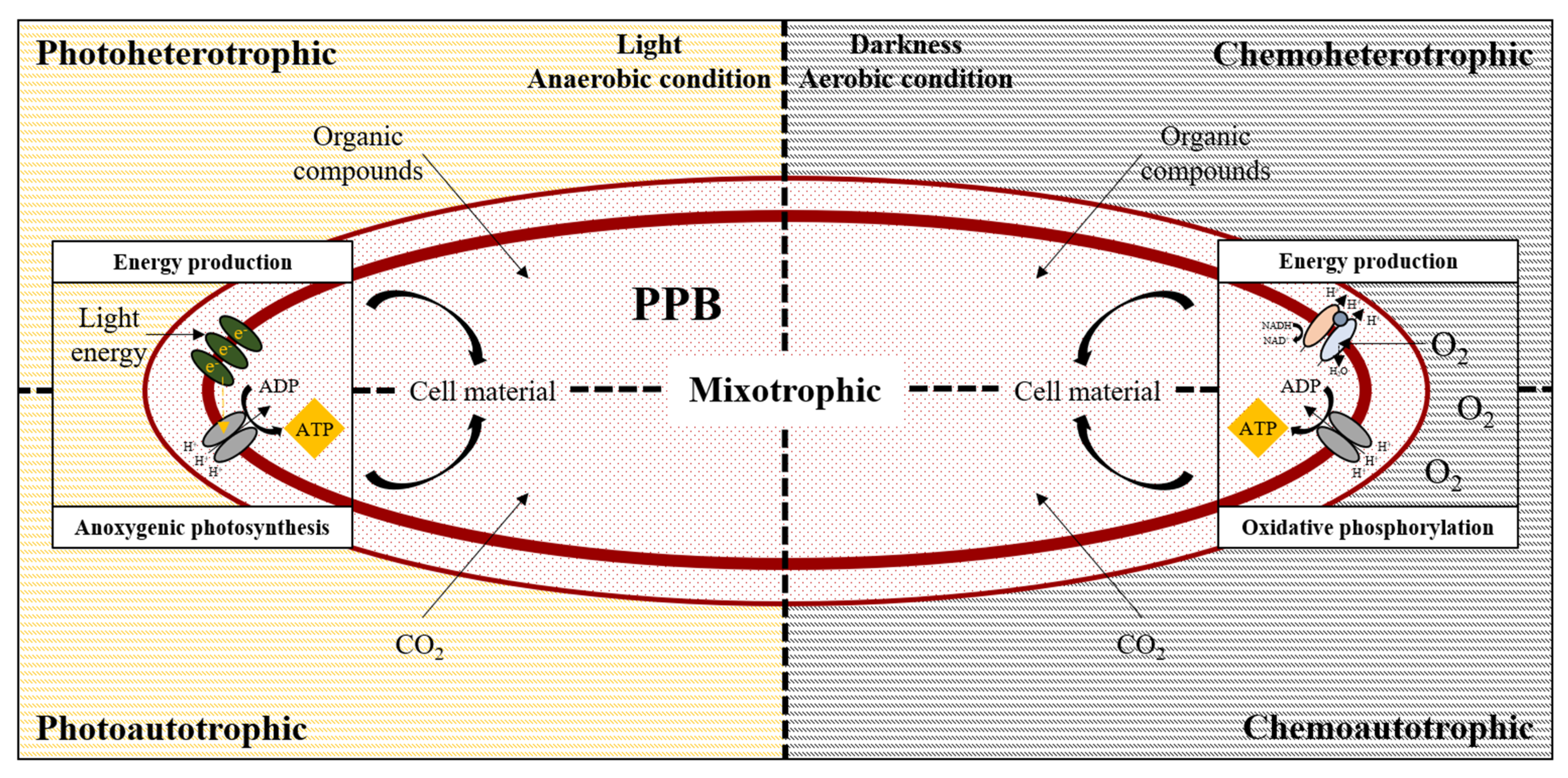 Symmetry 15 00525 g002 Symmetry 15 00525 g002