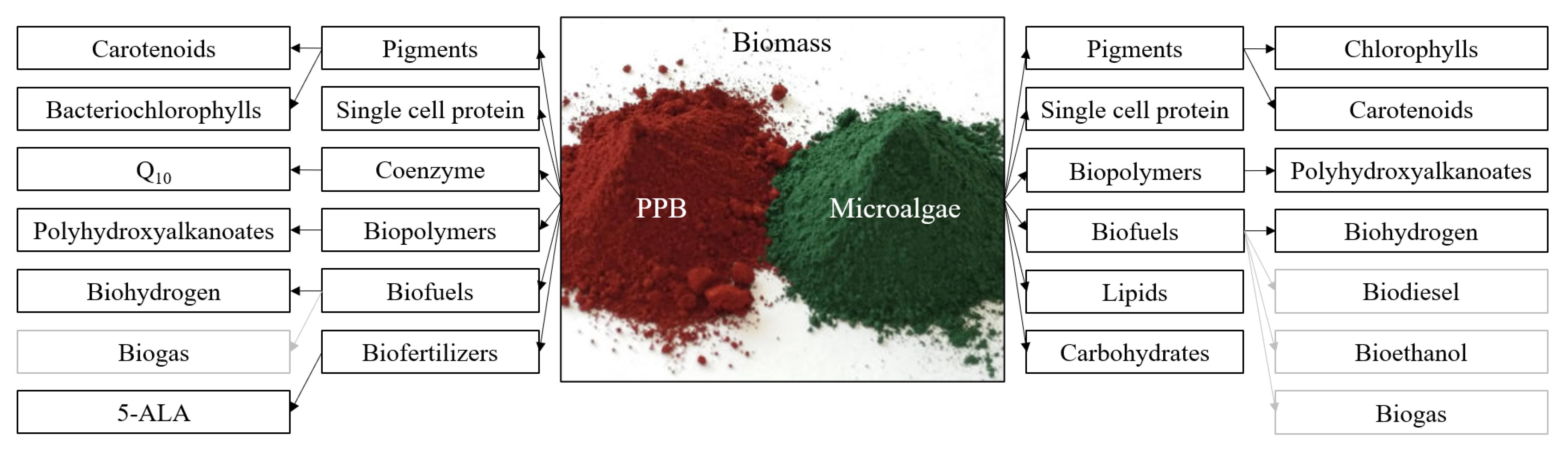 Symmetry 15 00525 g008 Symmetry 15 00525 g008