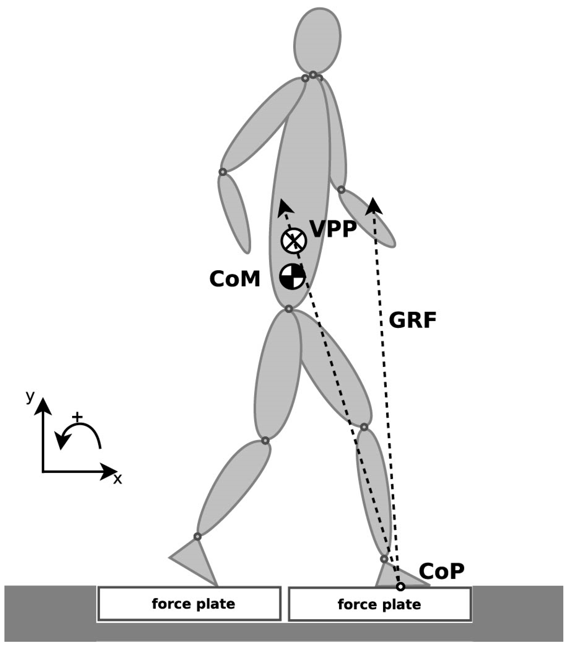 Symmetry Free Full-Text A Study on the Intersection of Ground Reaction Forces during Overground Walking in Down Syndrome Effects of the Pathology and Leftandndash;Right Asymmetry