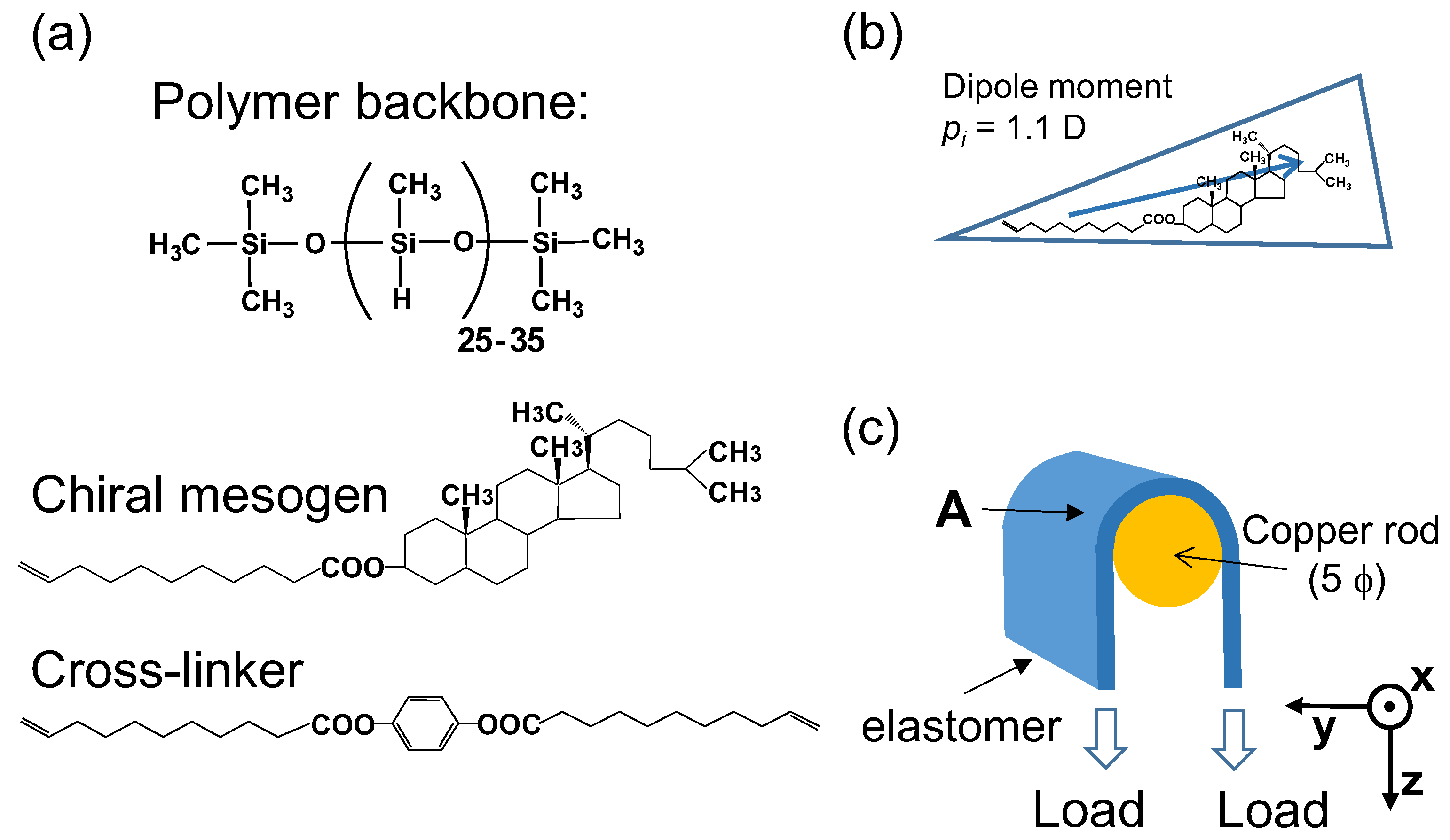 Symmetry 15 00616 g001