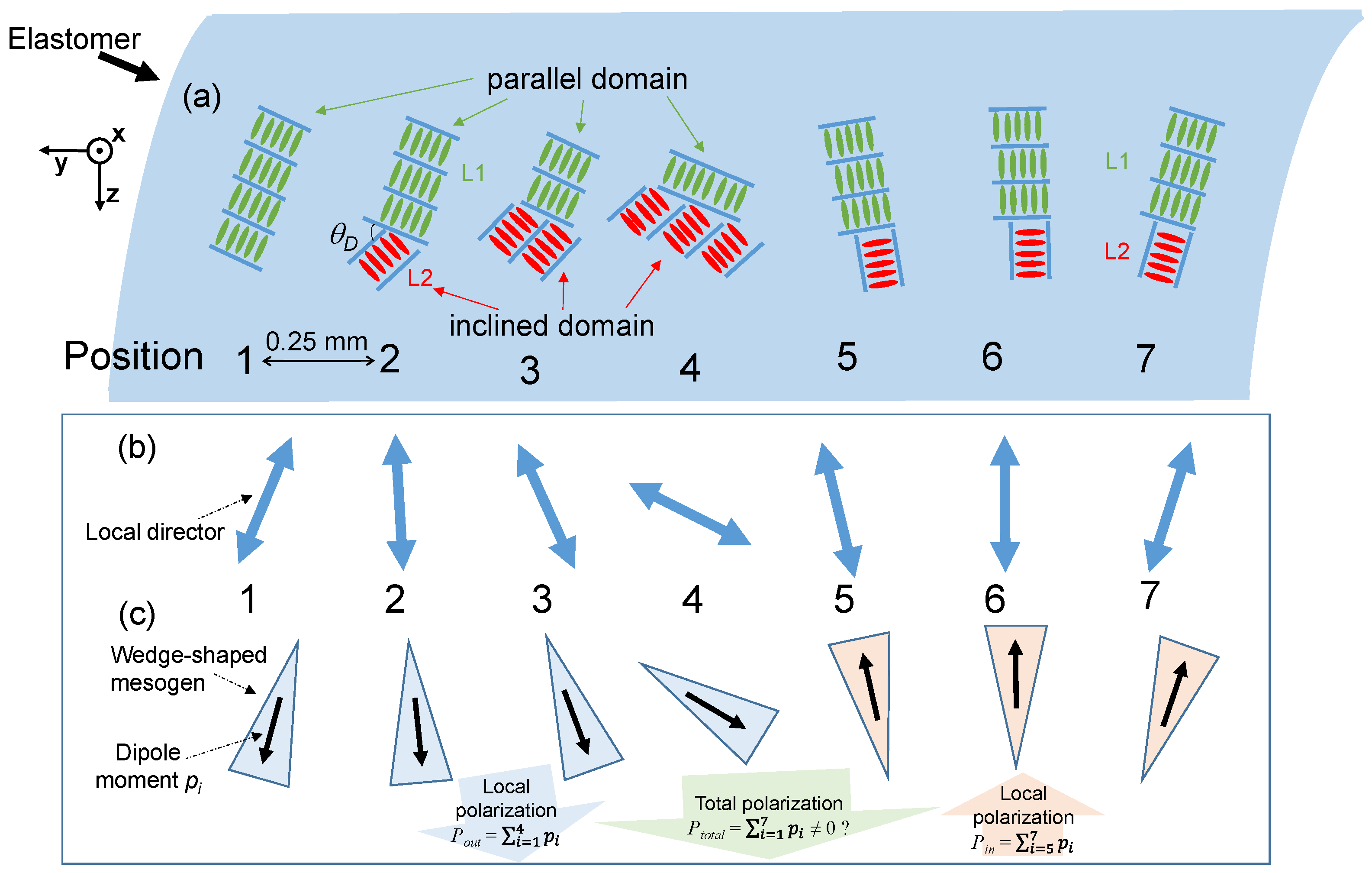 Symmetry 15 00616 g004