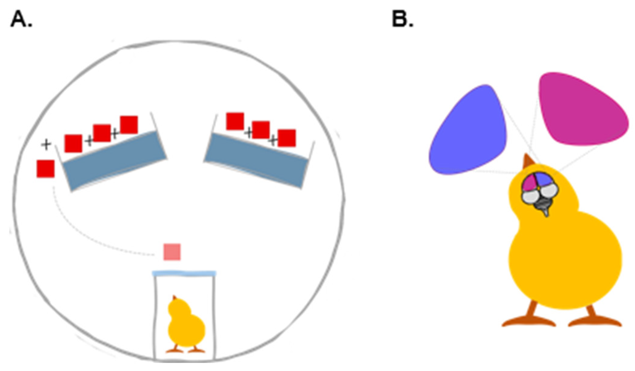 Symmetry 15 00719 g001 Symmetry 15 00719 g001