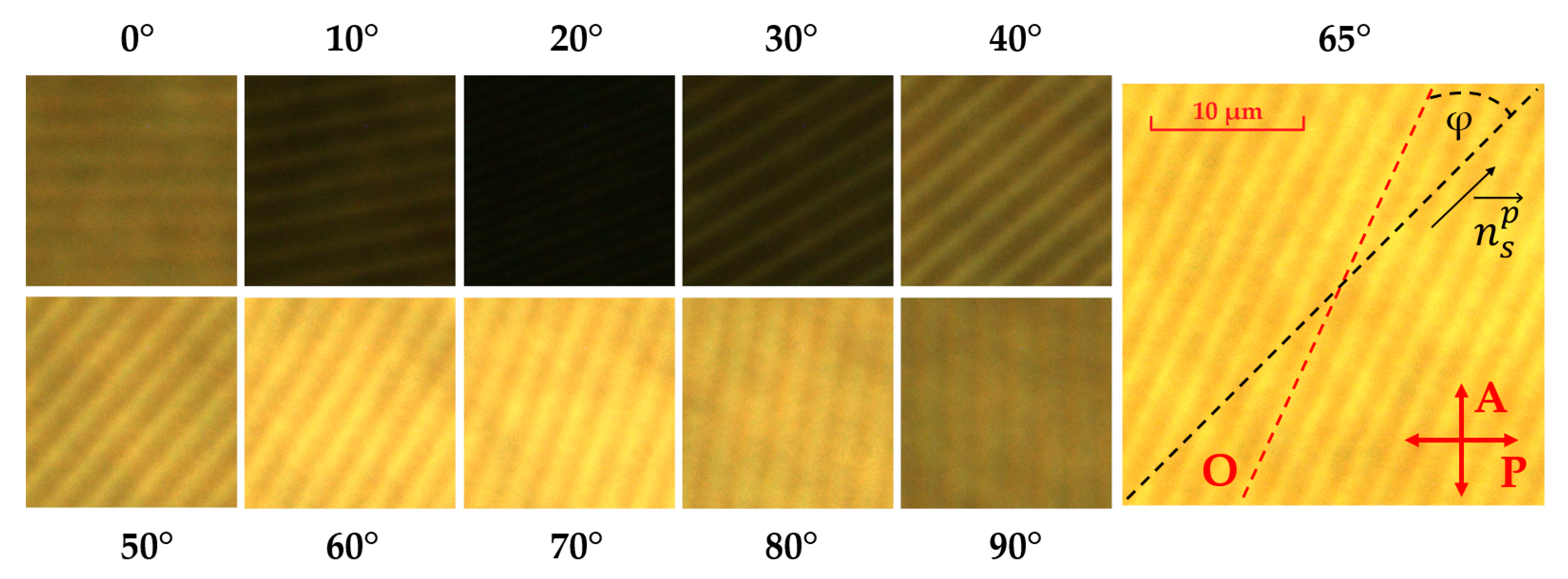 Symmetry 15 00722 g004